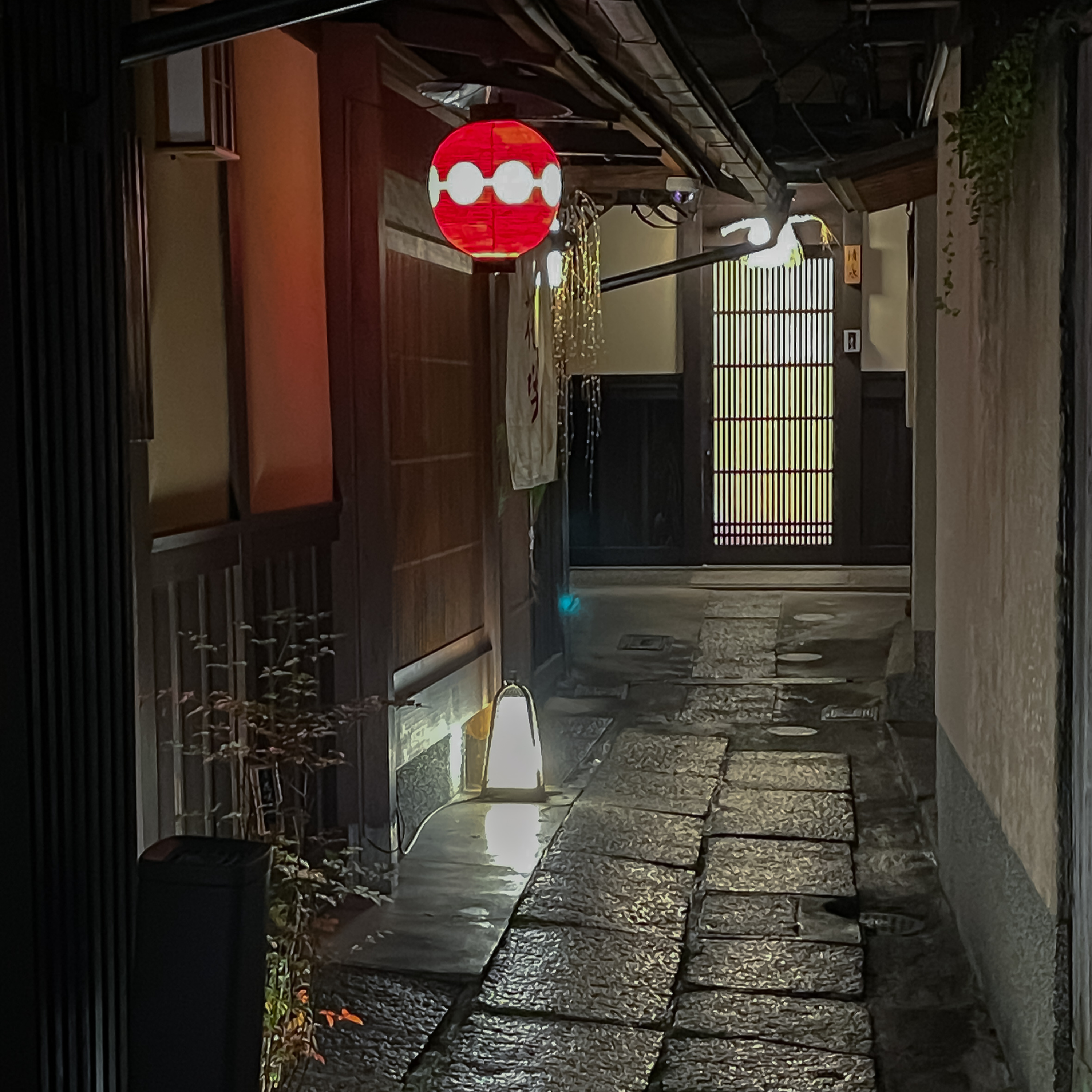 What Keeps Bringing Adam Back to Japan?