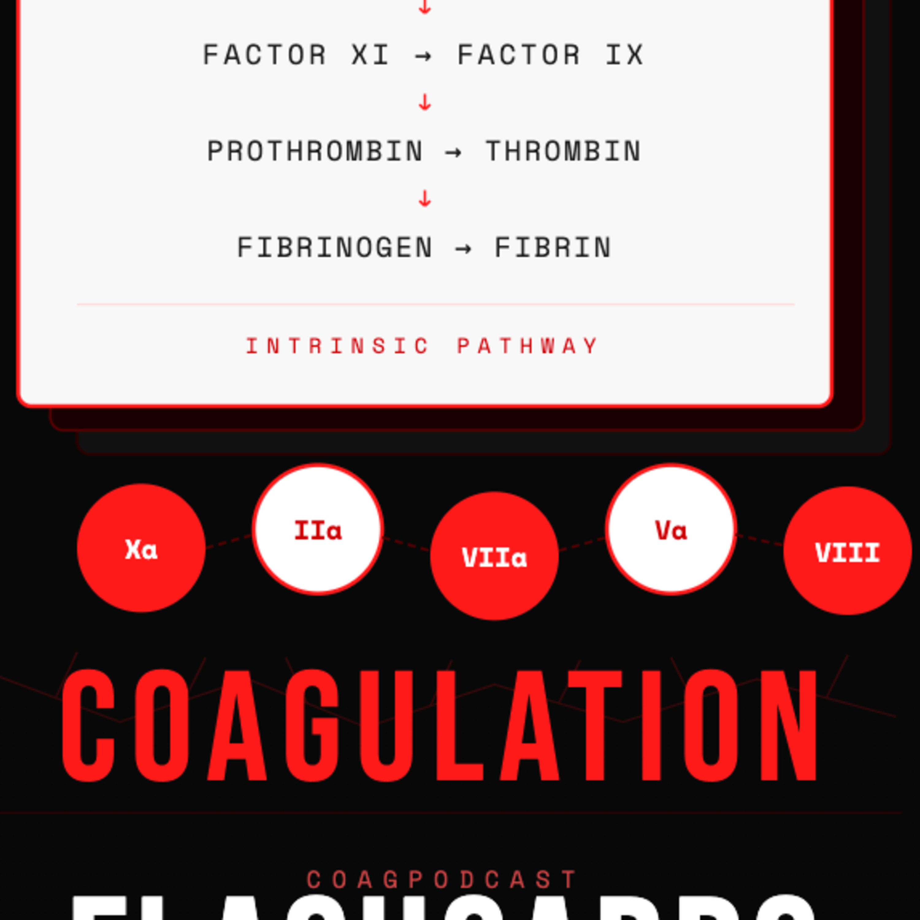 Coagulation + Hemostasis Flaashcards