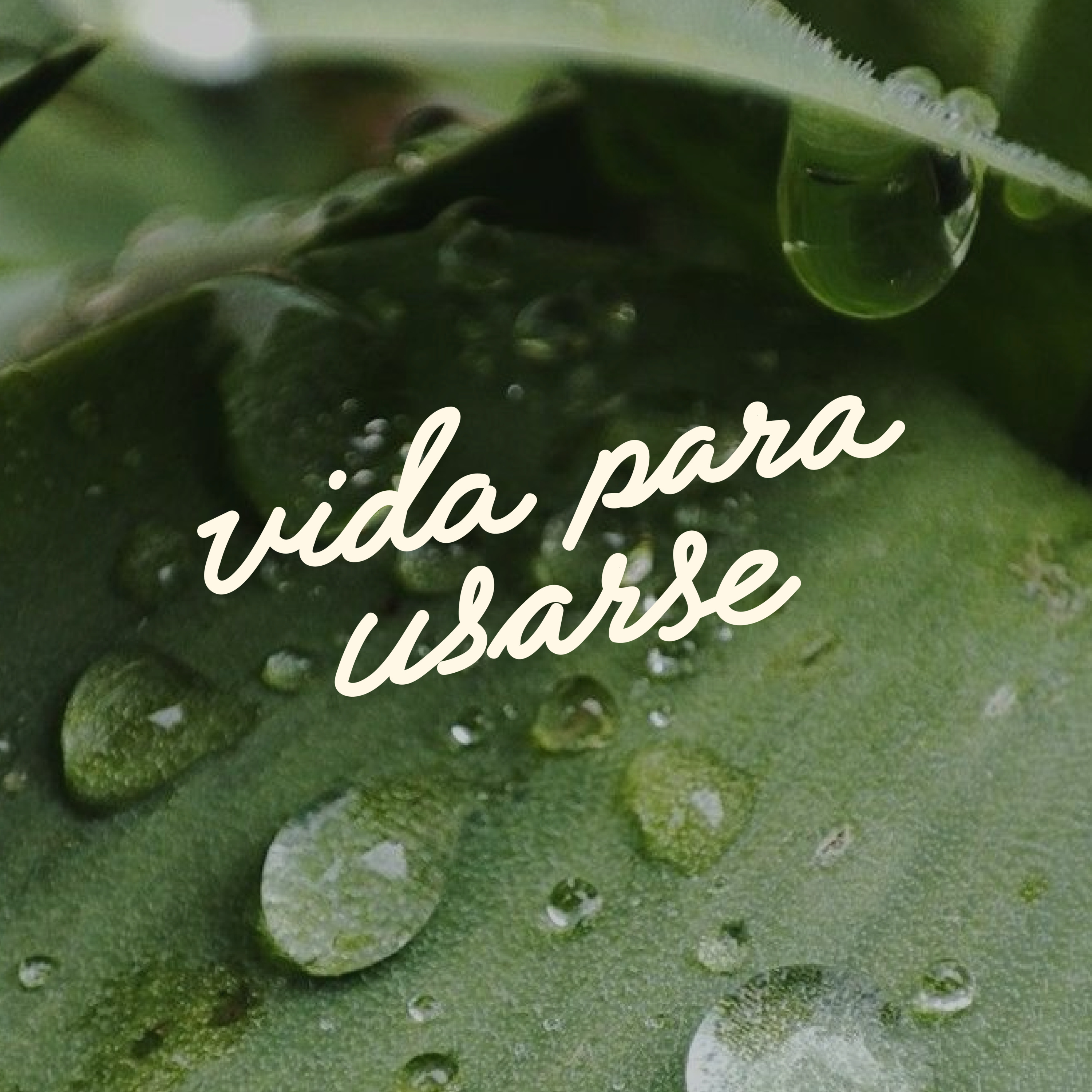 Portada de Vida Para Usarse