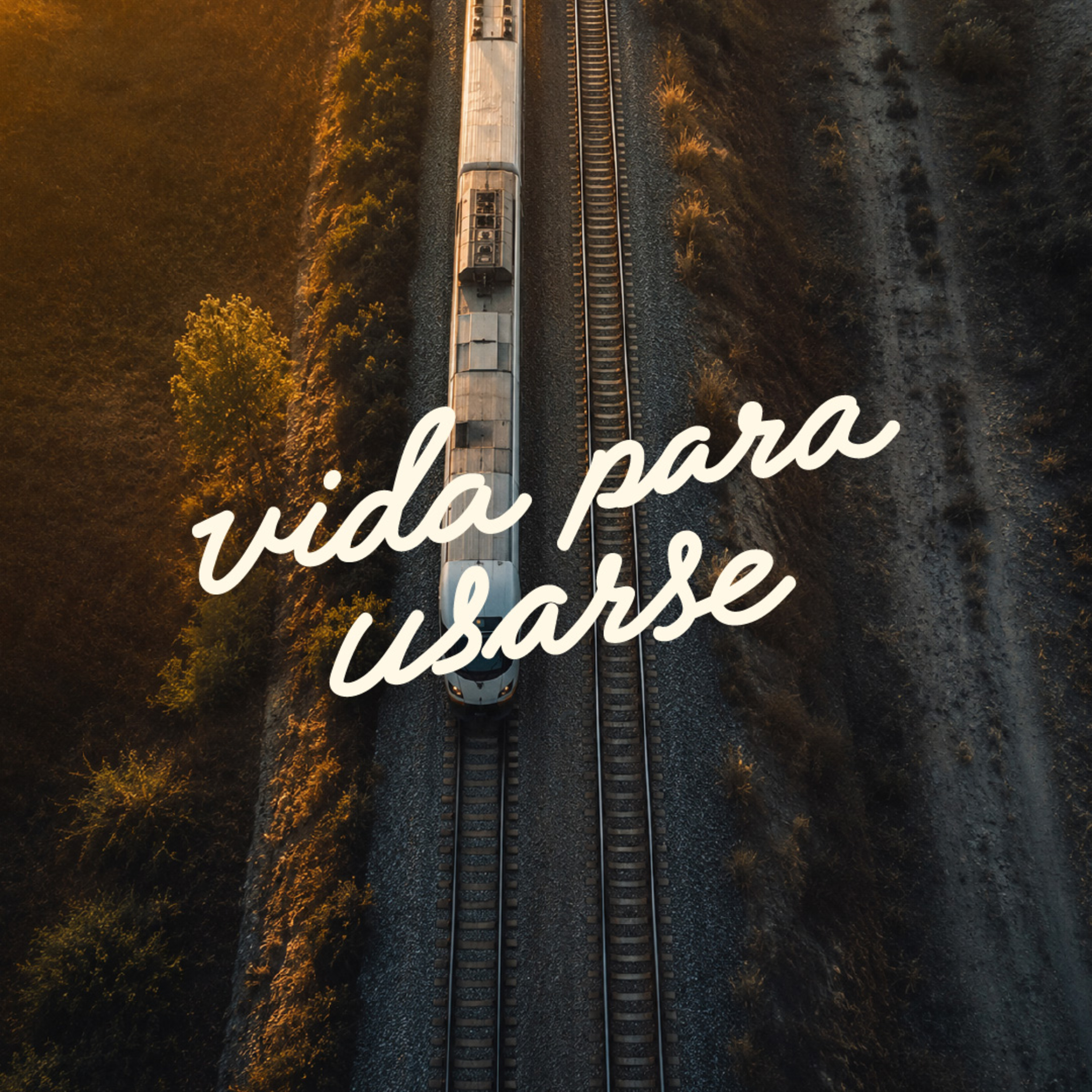 Portada de Vida Para Usarse