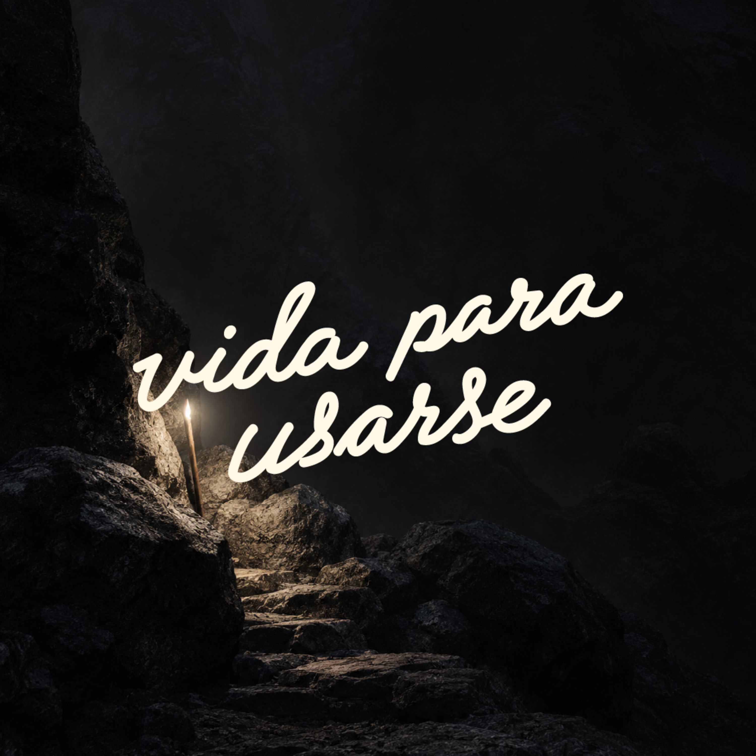 Portada de Vida Para Usarse