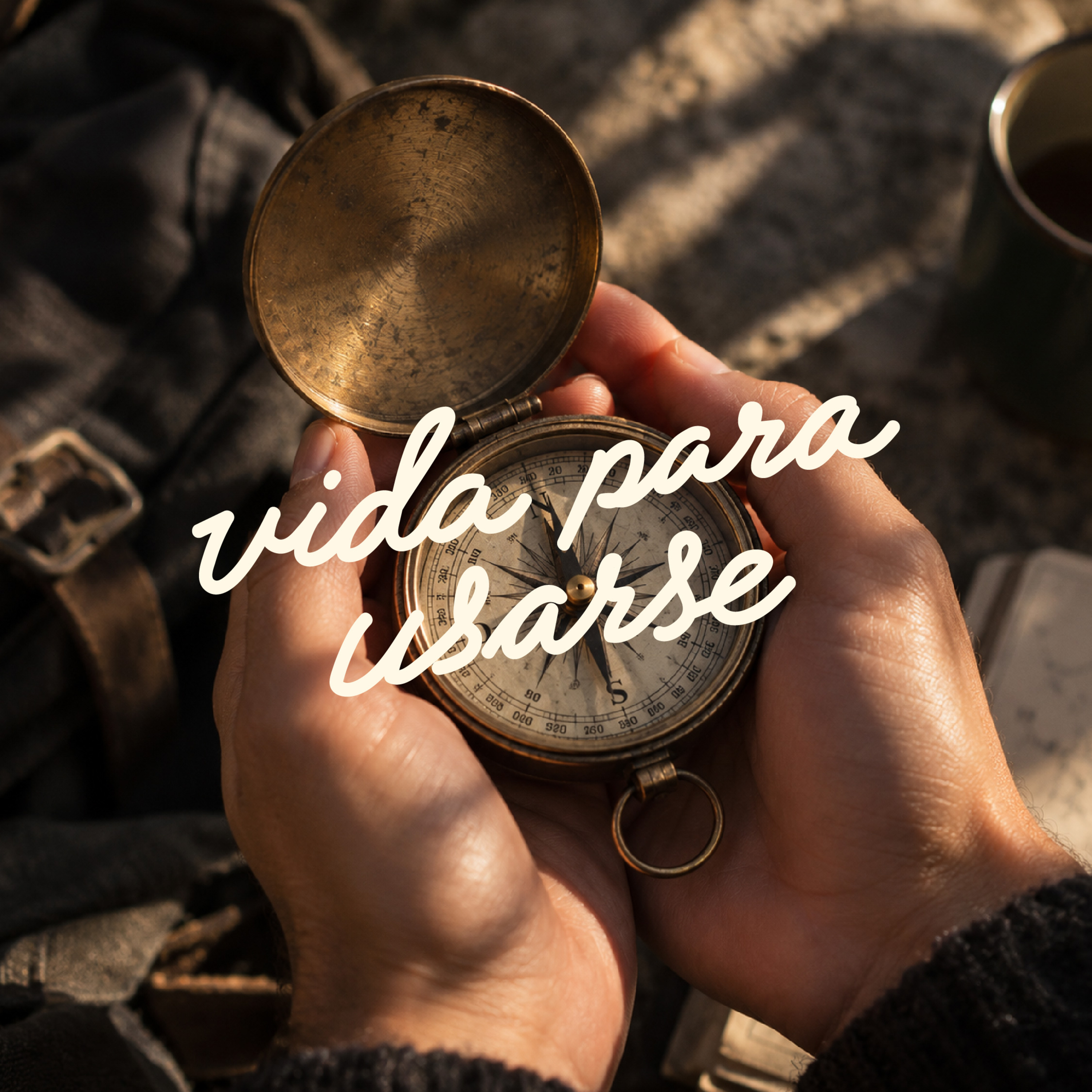 Portada de Vida Para Usarse