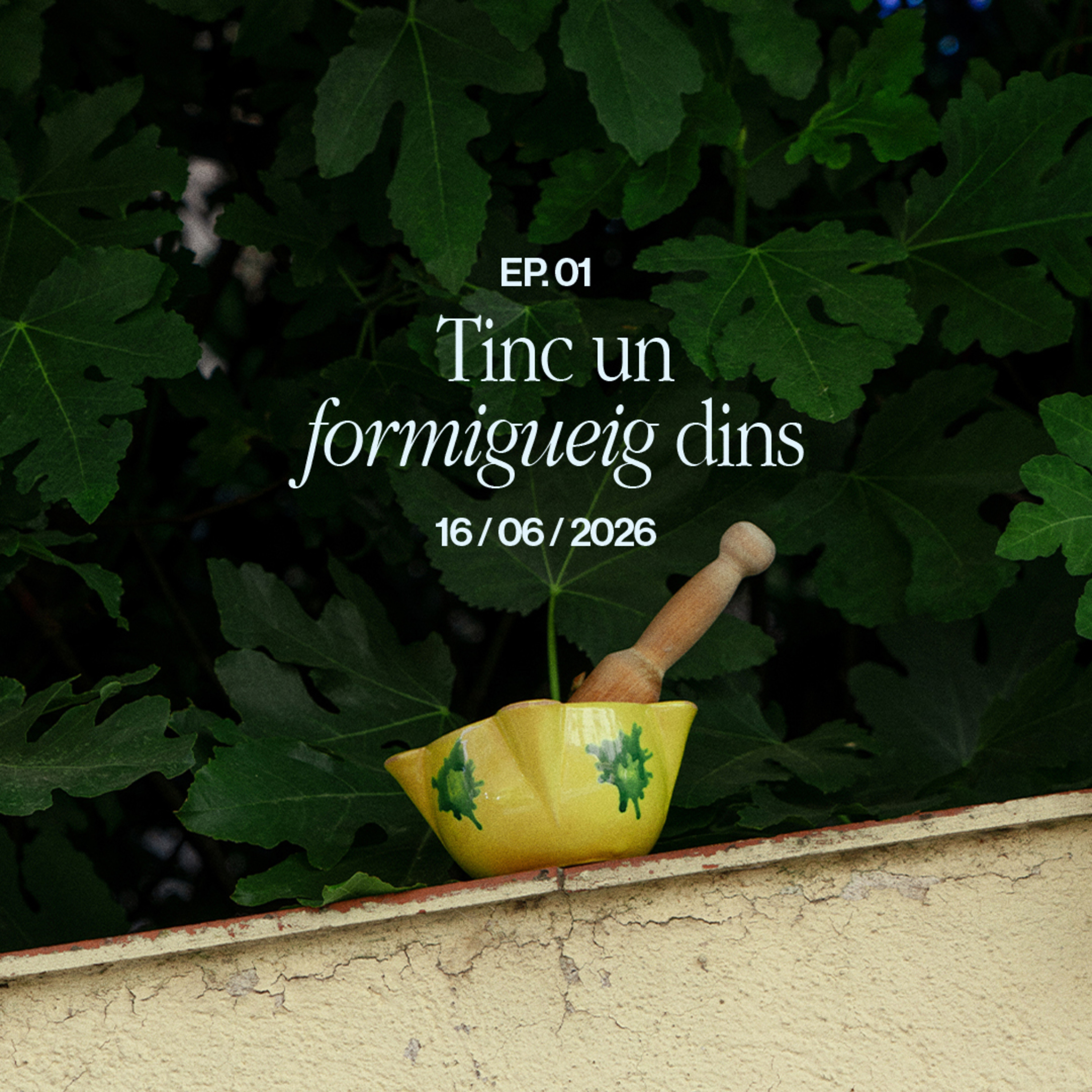 /01 ••• Tinc un formigueig dins episode artwork
