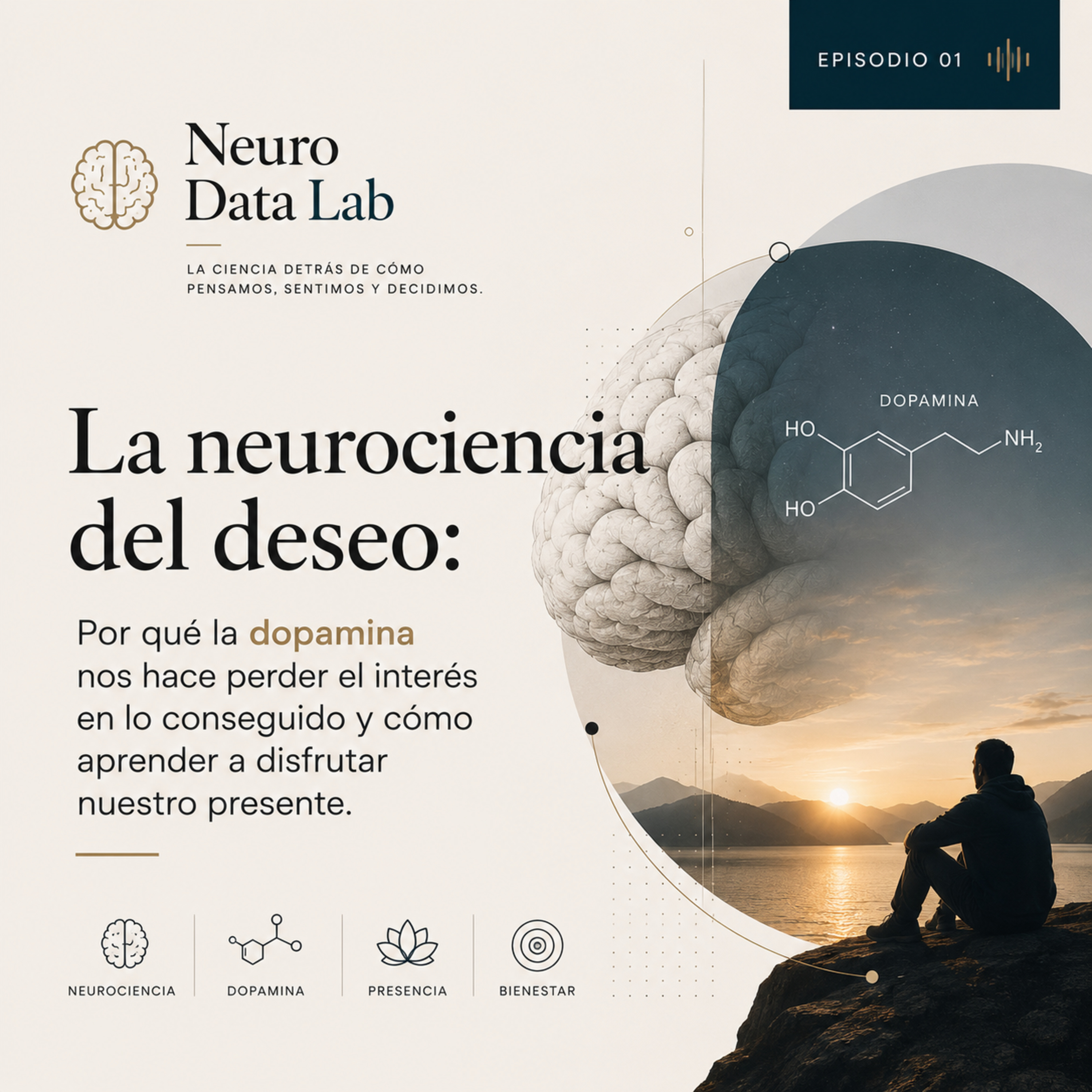 Portada de NeuroData Lab