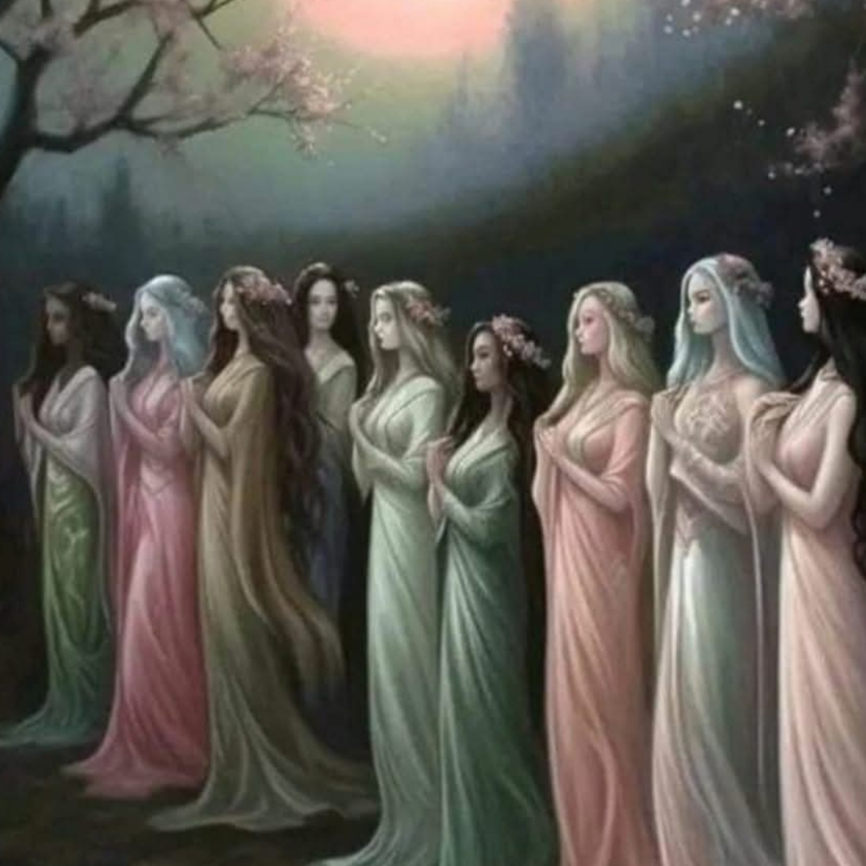 La Hermandad de las 9 Rosas, Parte II episode artwork