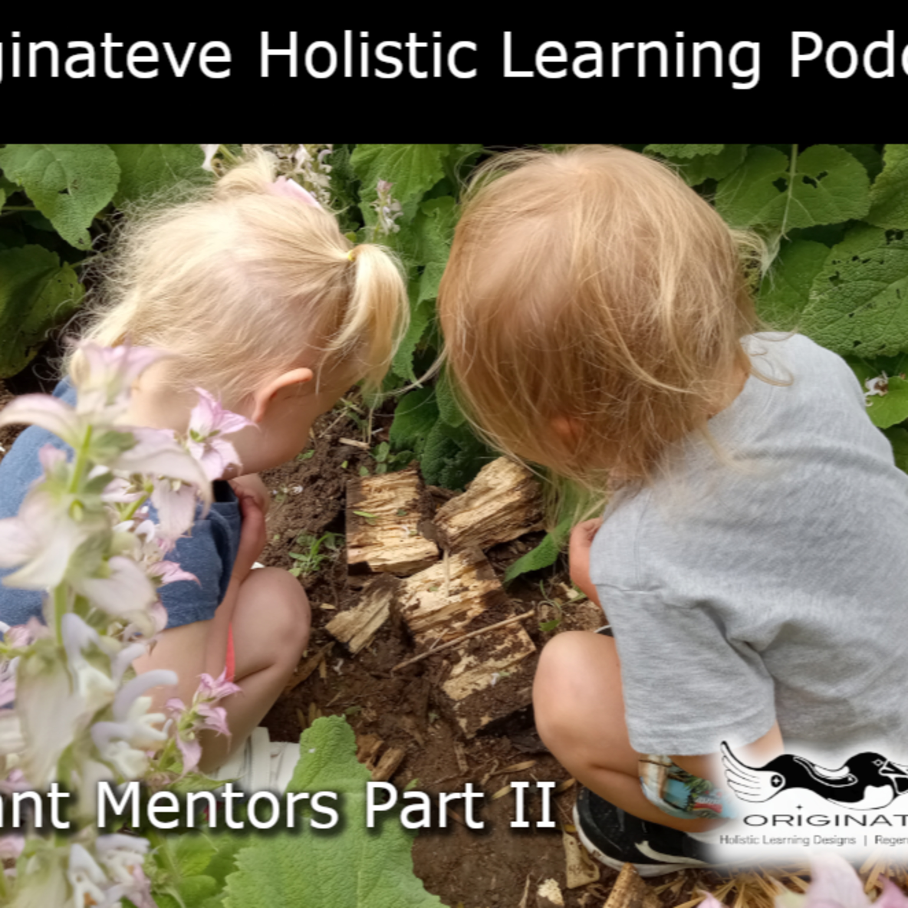 Origins: Holistic Learning & Regenerative Practice by Originateve