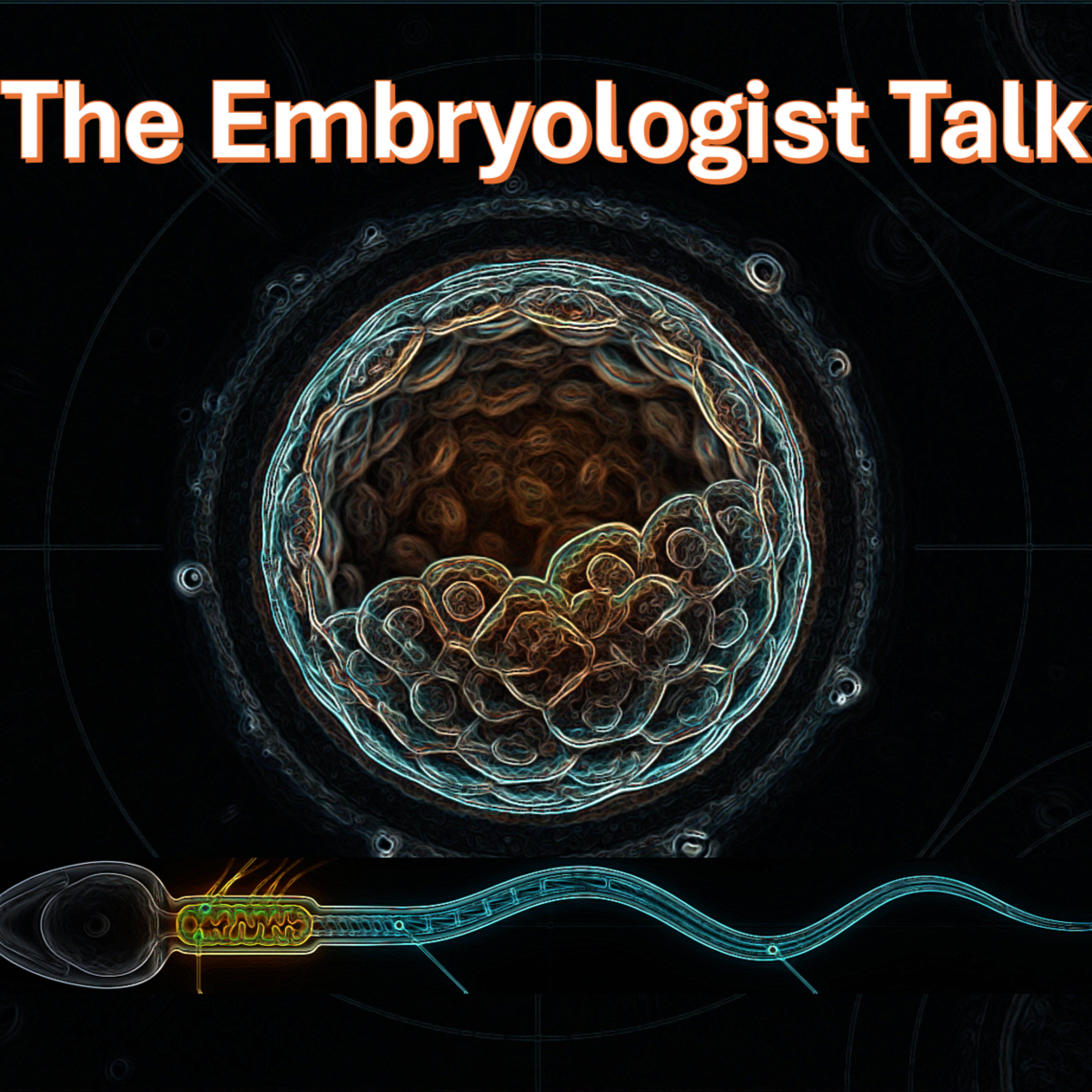 Female Reproductive Anatomy – Functional Organisation episode artwork