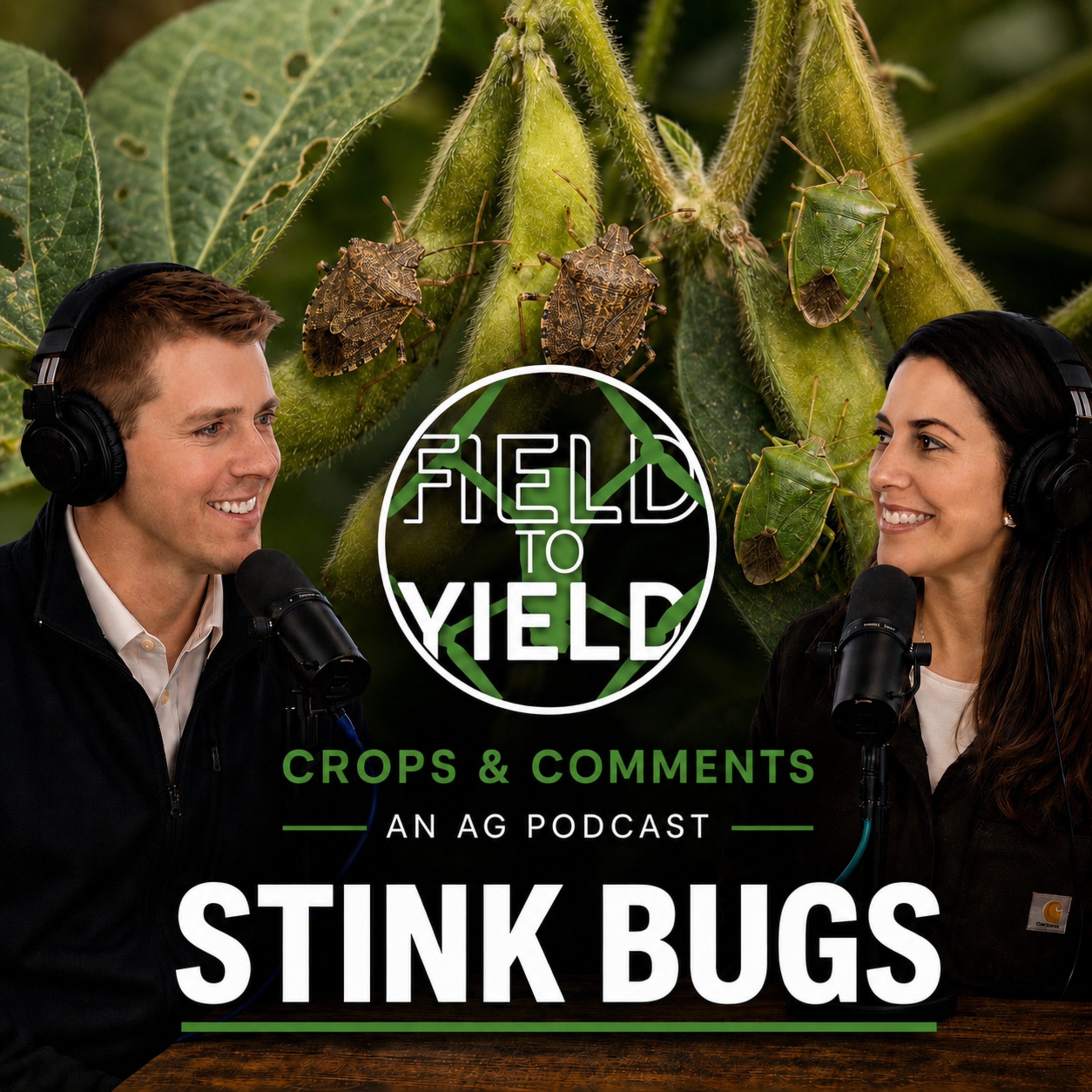 Stink Bugs episode artwork