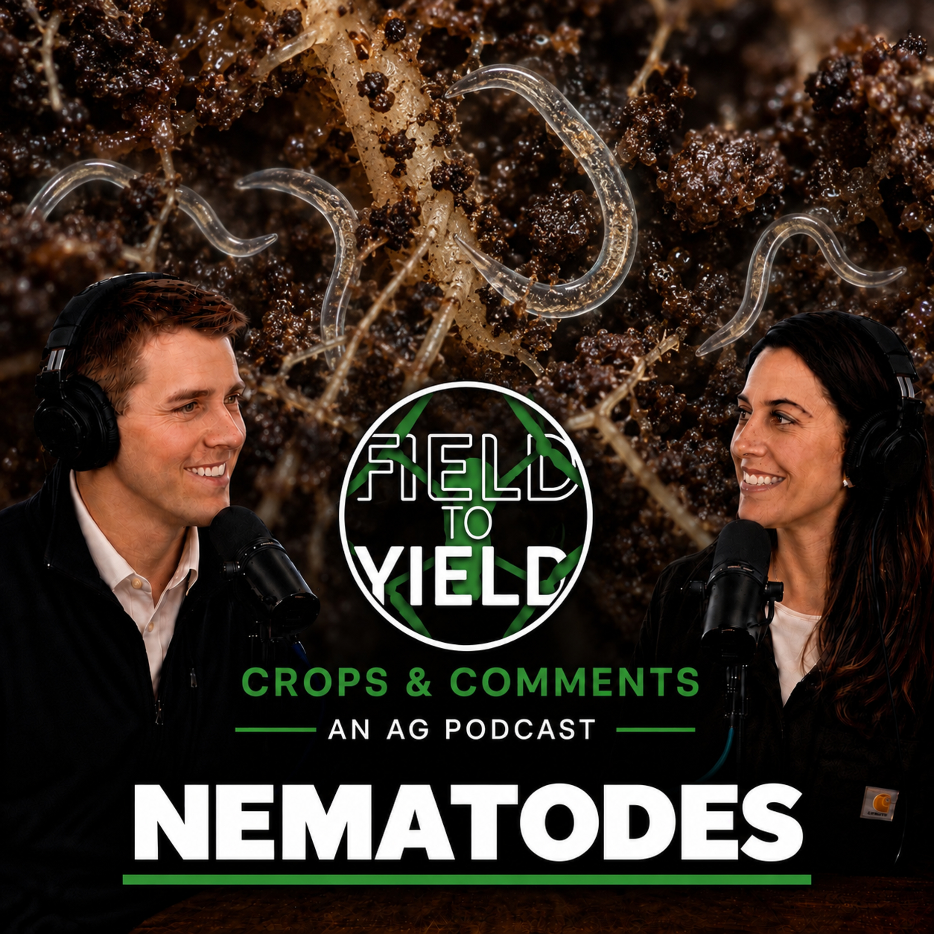 Nematodes episode artwork