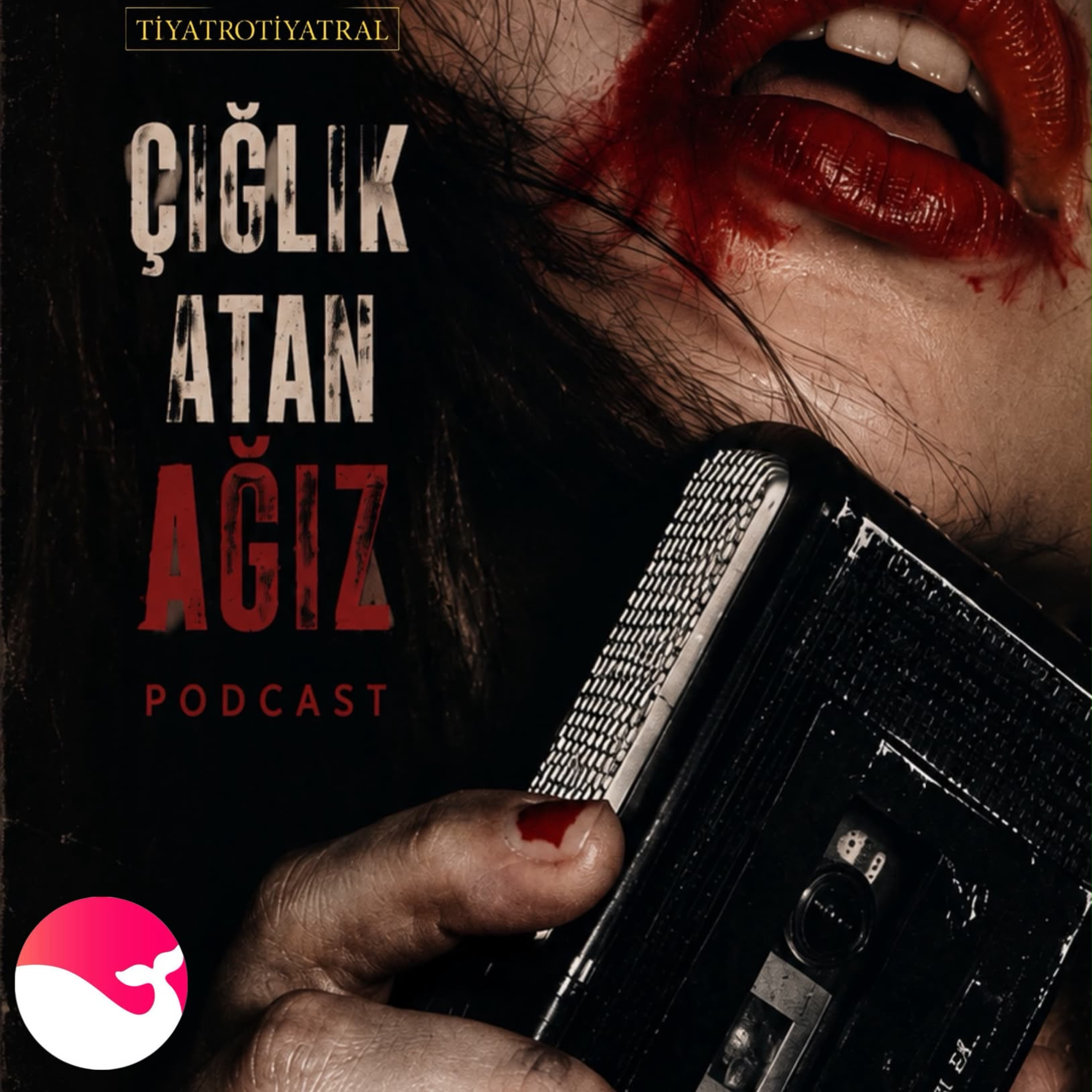 1. BÖLÜM : SAYIN SEYİRCİ episode artwork