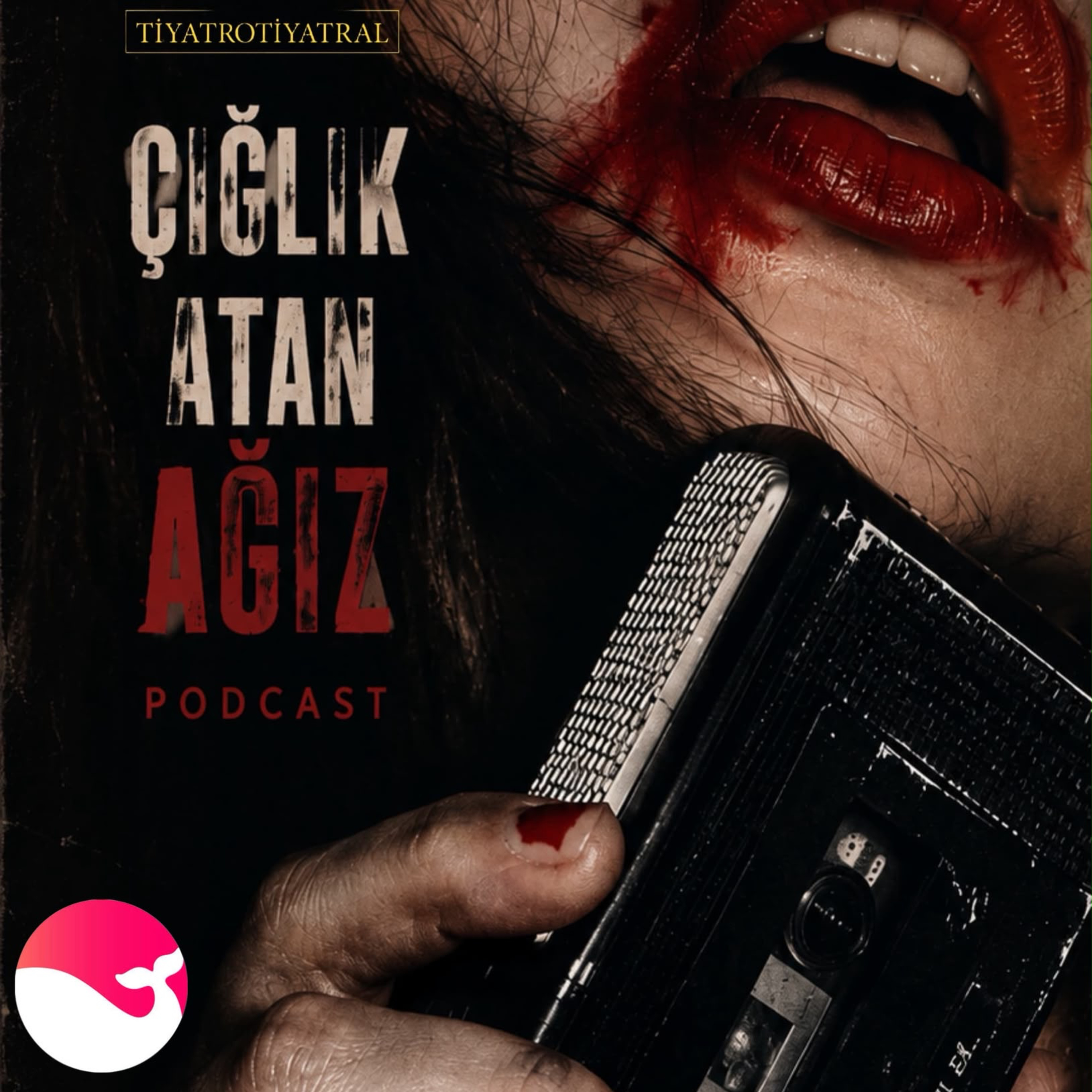 2. BÖLÜM : HER VIZILTI MİKROFONU HAK ETMİYOR BEBEĞİM. episode artwork