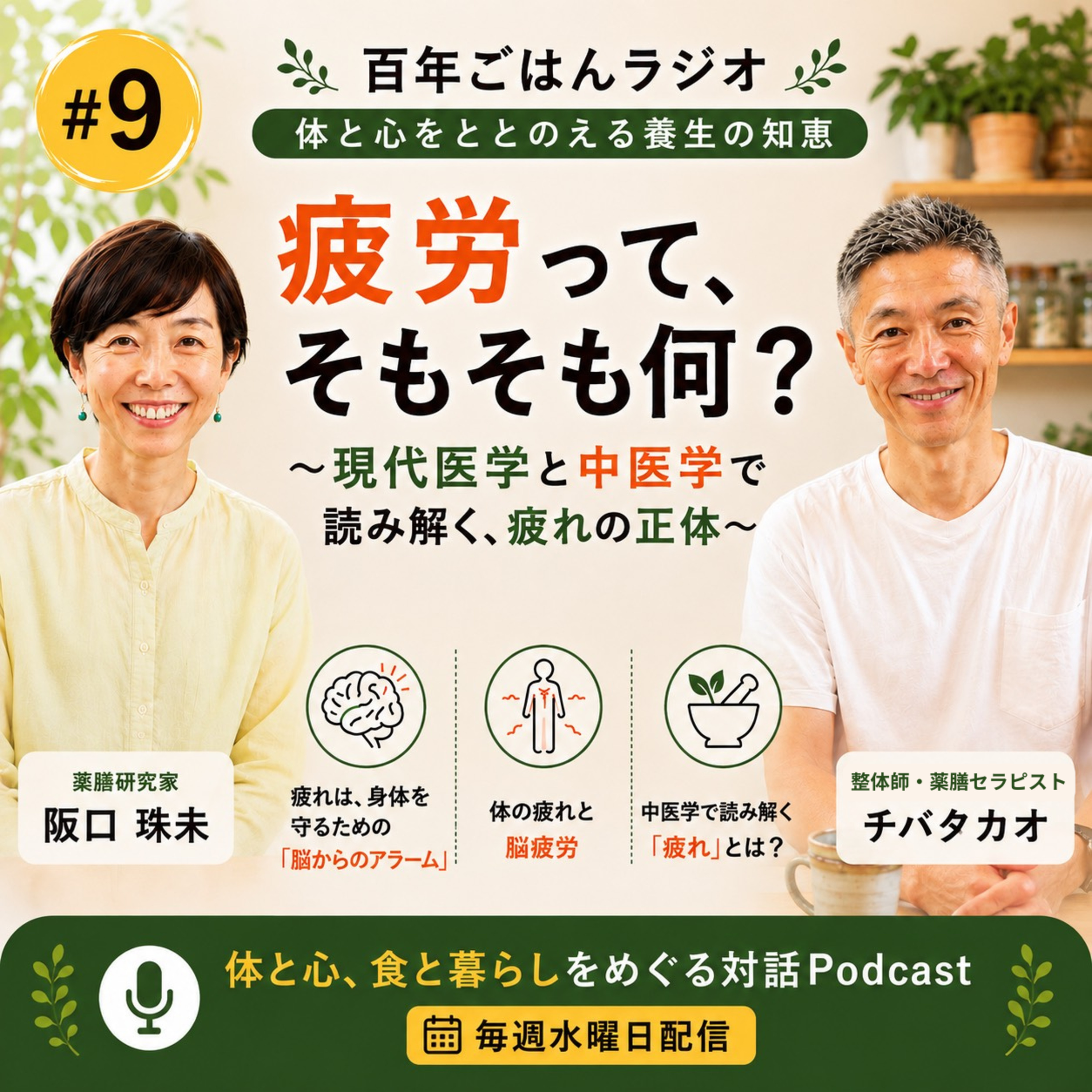 第9回「疲れは悪者じゃない？」～現代医学と中医学で読み解く、疲労の正体～ episode artwork