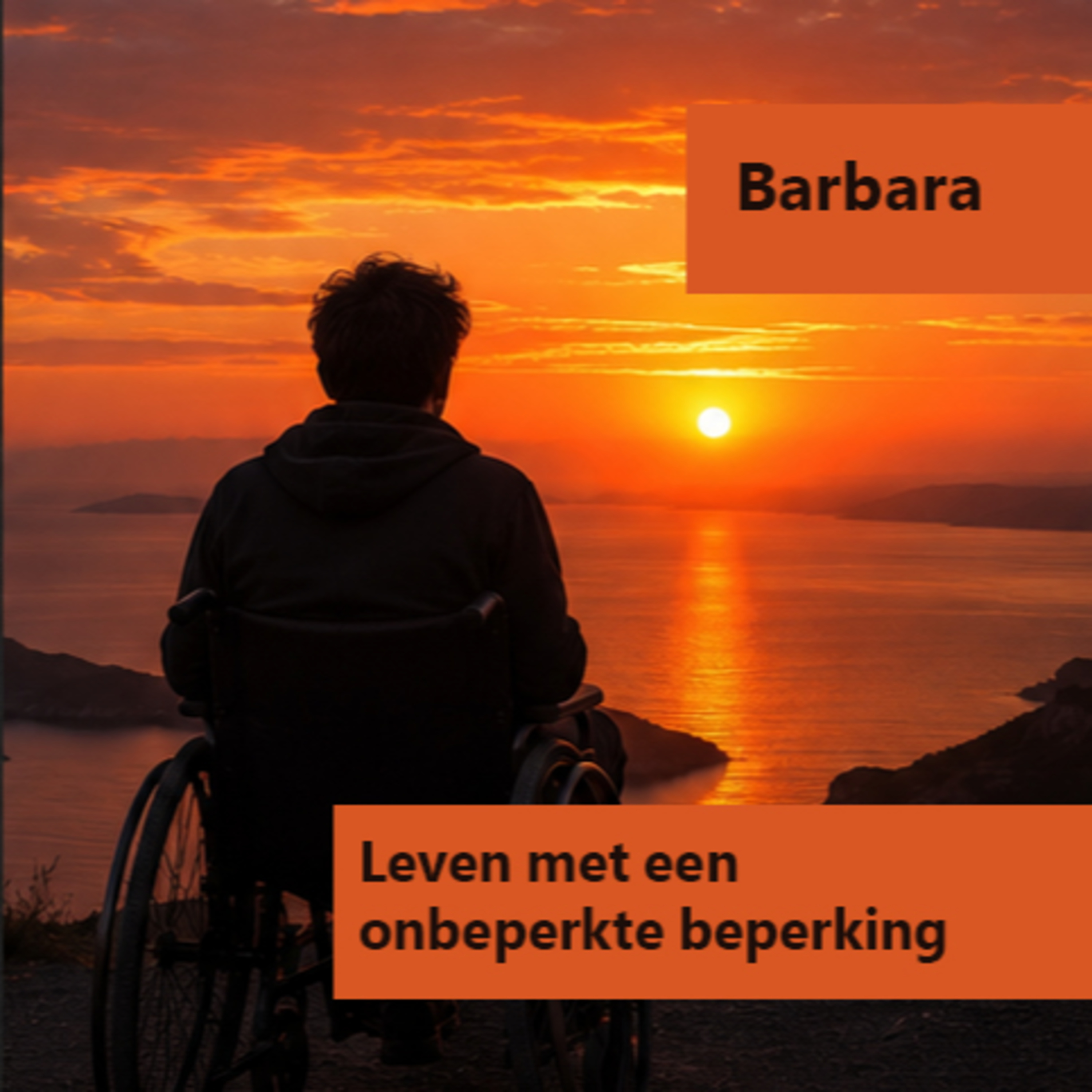 MS het leven van Barbara episode artwork