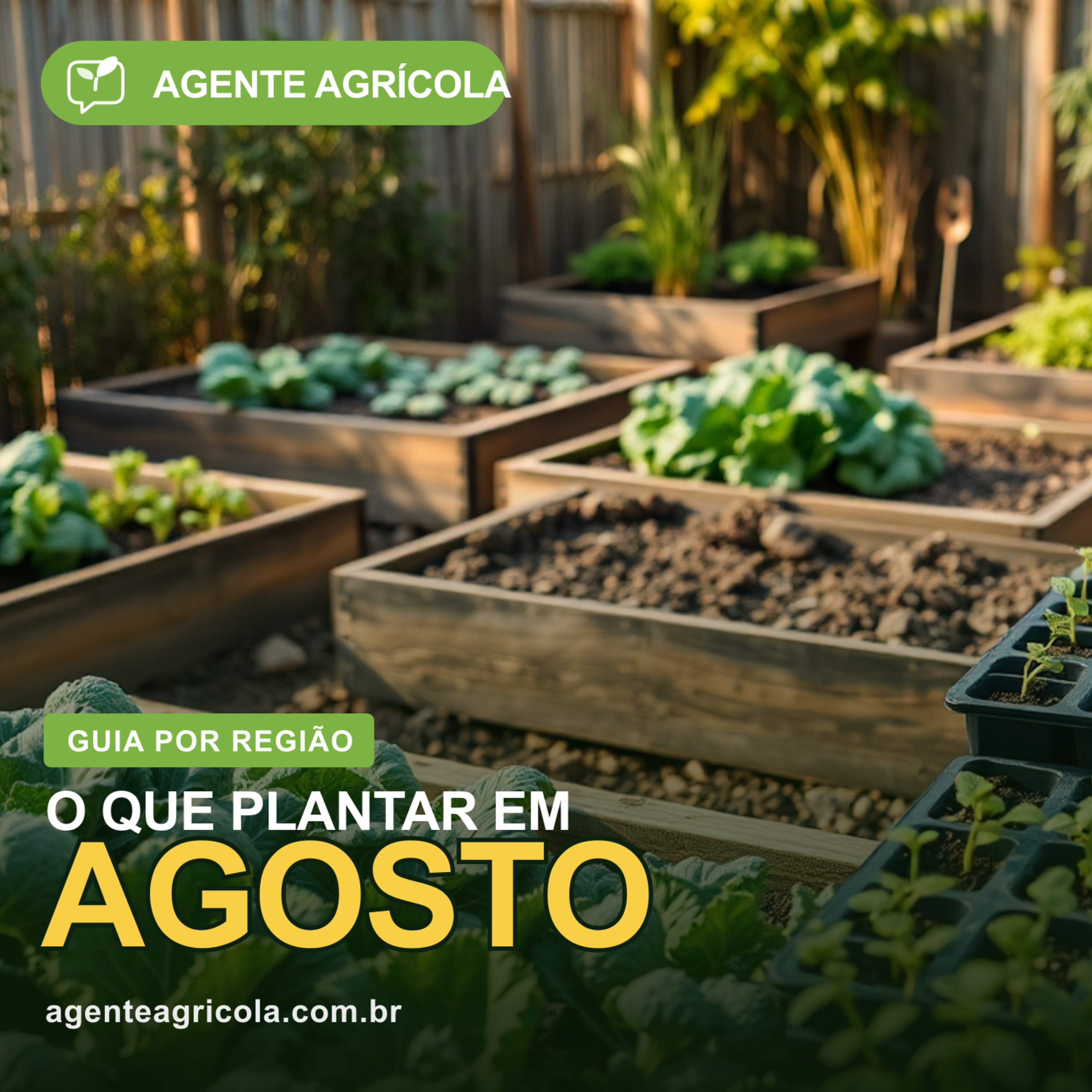 Agosto na horta: feche o inverno e abra o verão episode artwork