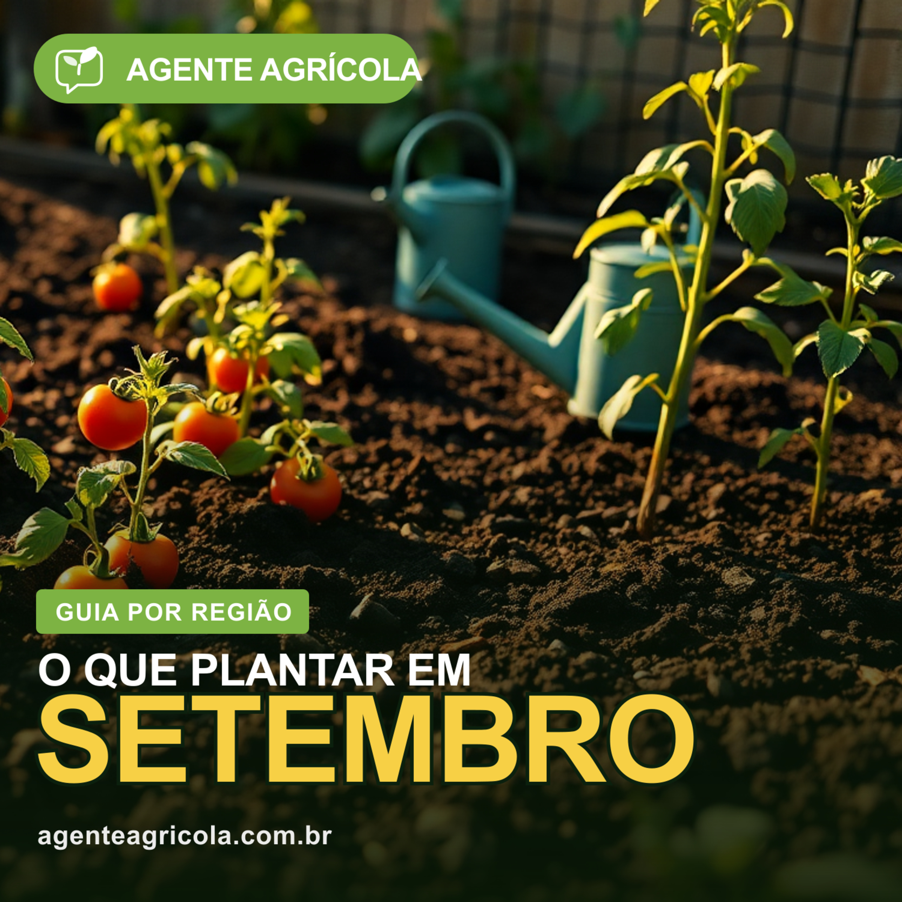O Que Plantar em Setembro no Brasil: Guia da Horta episode artwork