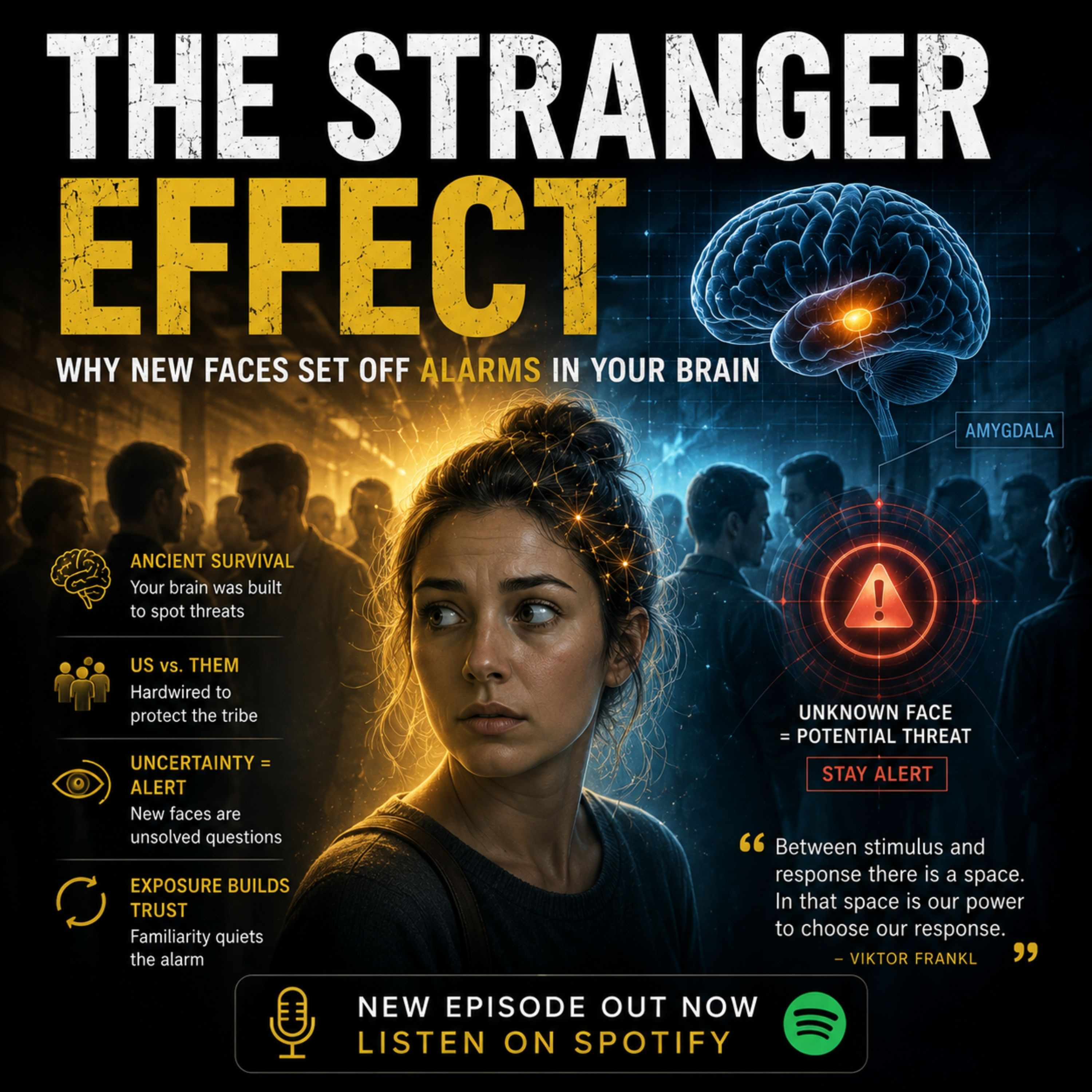 The Stranger Effect: Why New Faces Set Off Alarms in Your Brain episode artwork