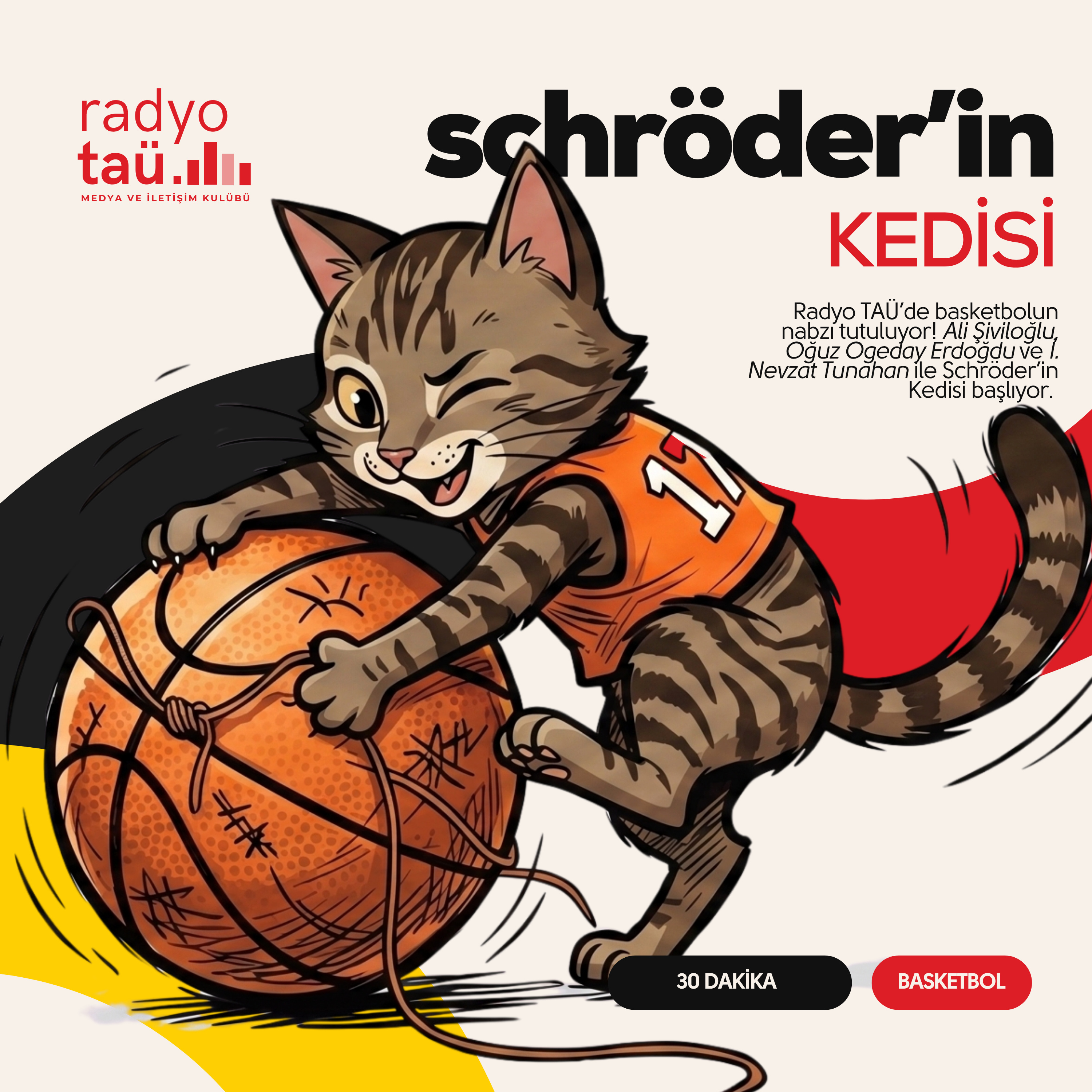 Schröder'in Kedisi - Bölüm #01 | Ergin Ataman'ın Ayrılığı, NBA Finalleri ve Avrupa Transfer Kazanı episode artwork