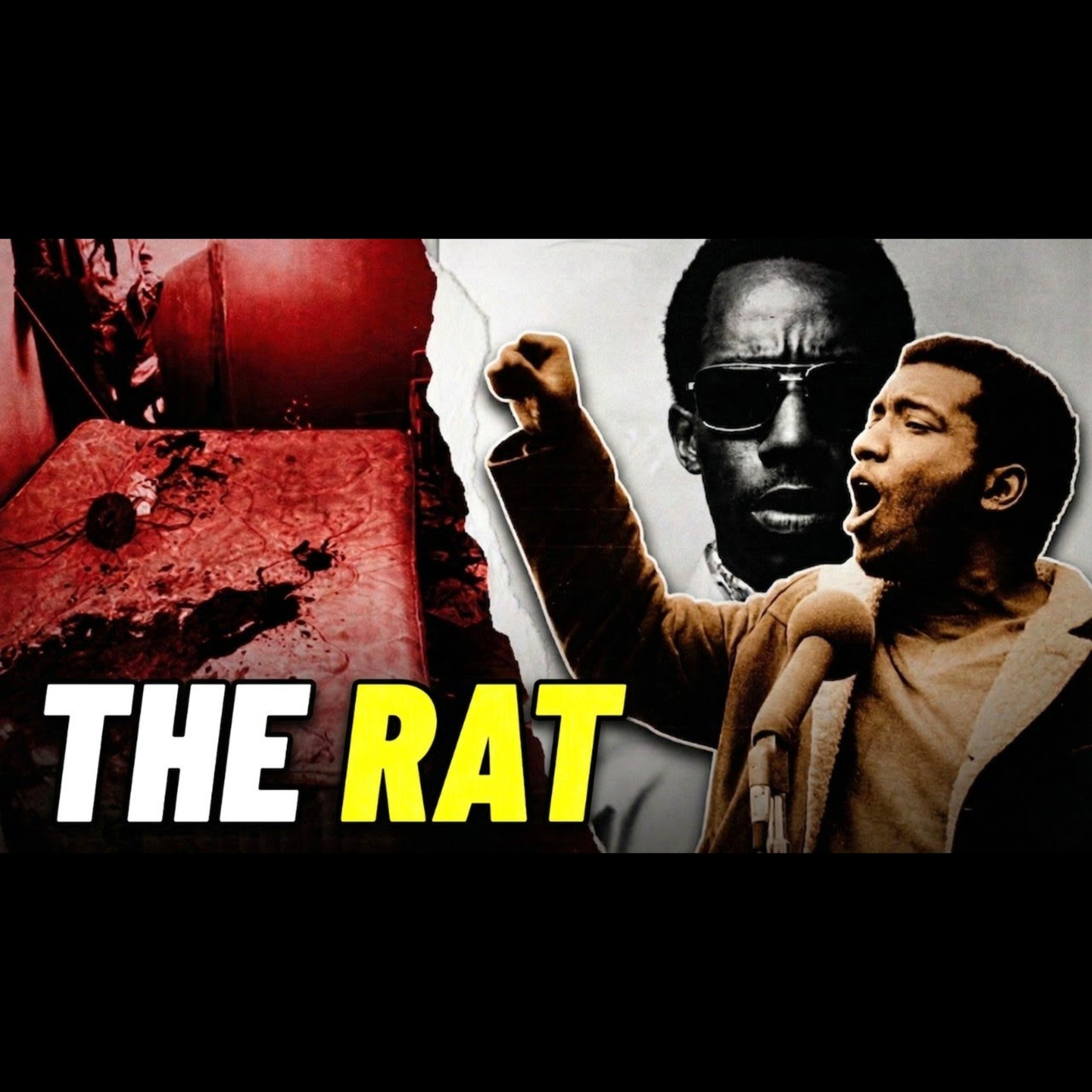 The FBI Paid Him $300 to Kill Fred Hampton episode artwork