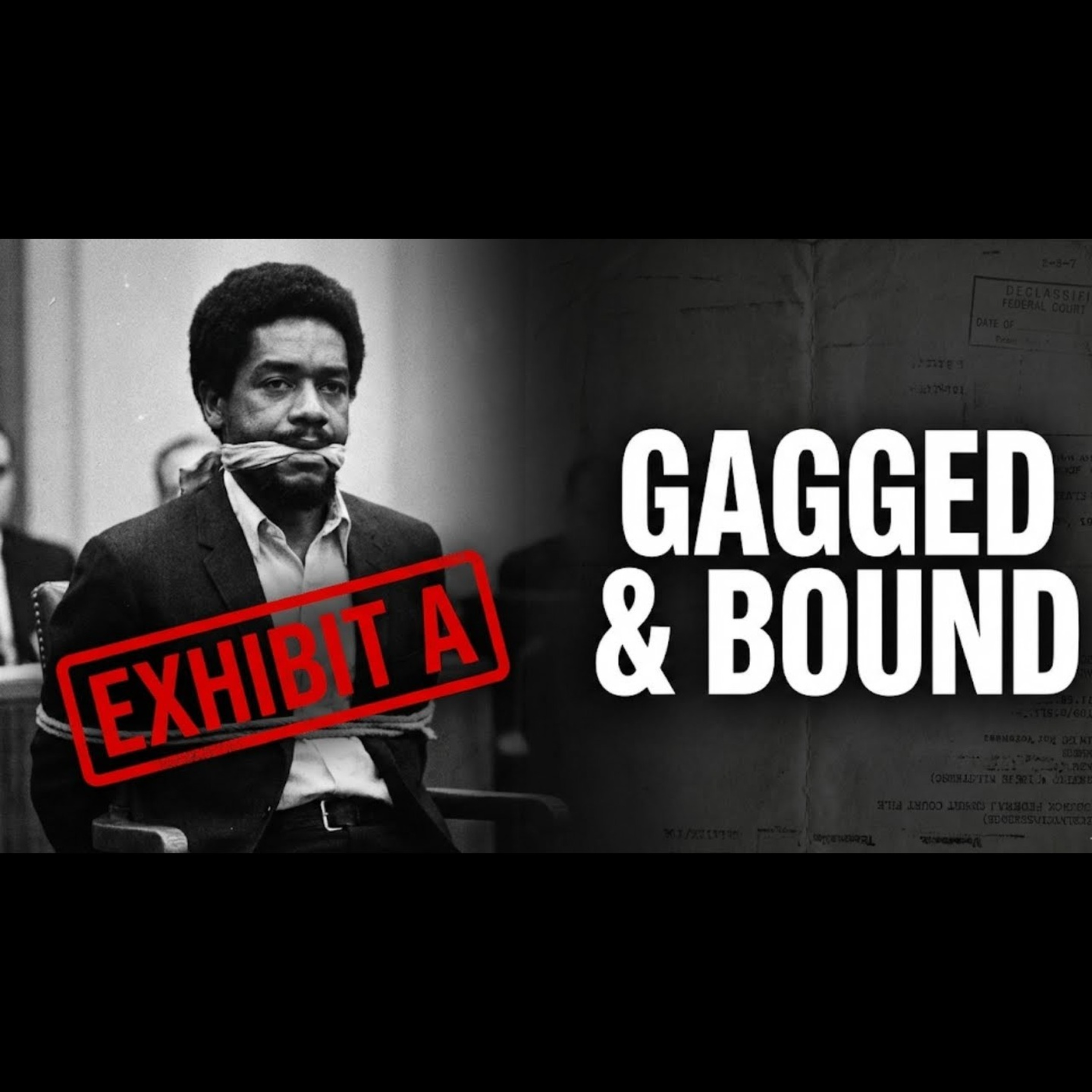 VERDICT DENIED Bobby Seale Bound in Federal Court episode artwork