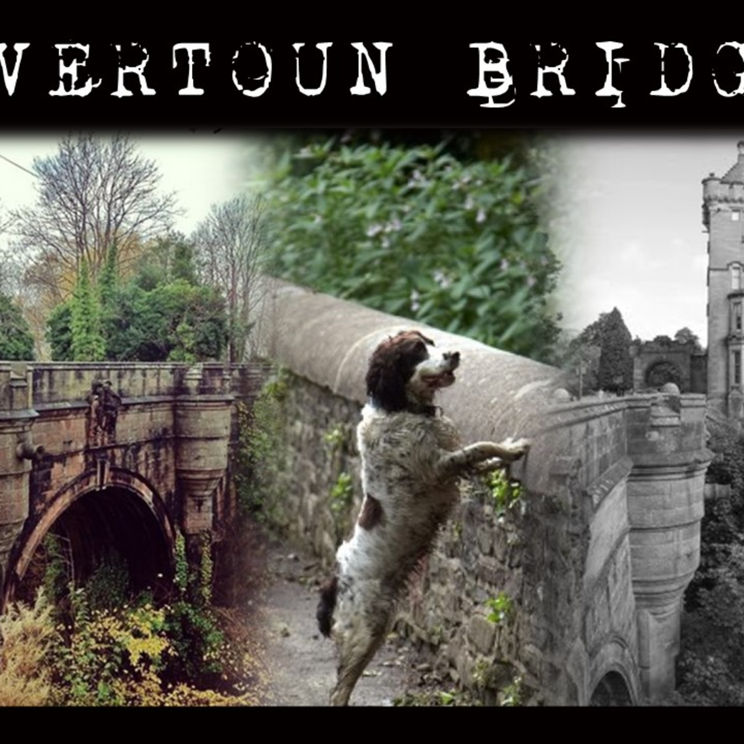 Overtoun Bridge | 600 Lives Lost episode artwork