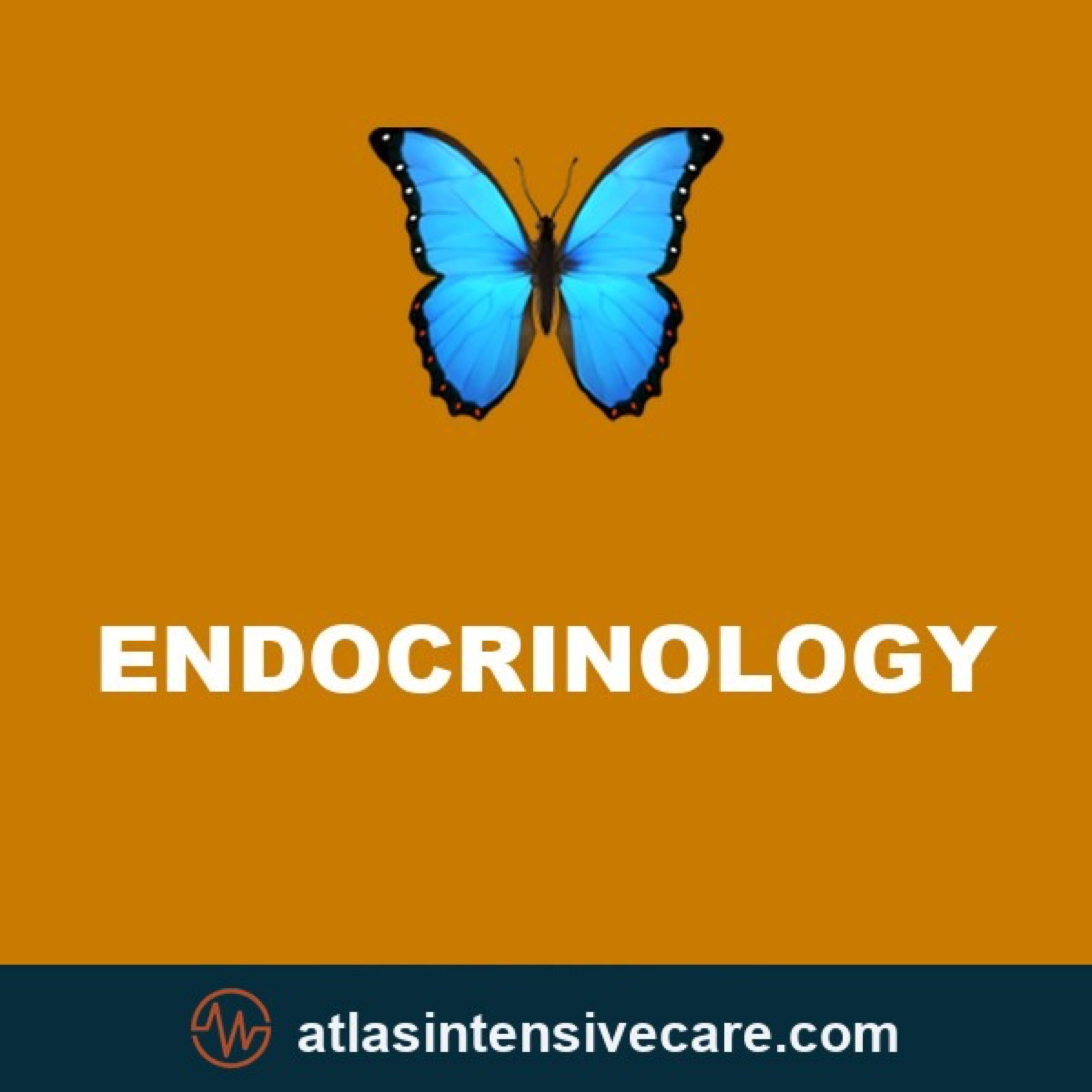 Endo Thyroid episode artwork