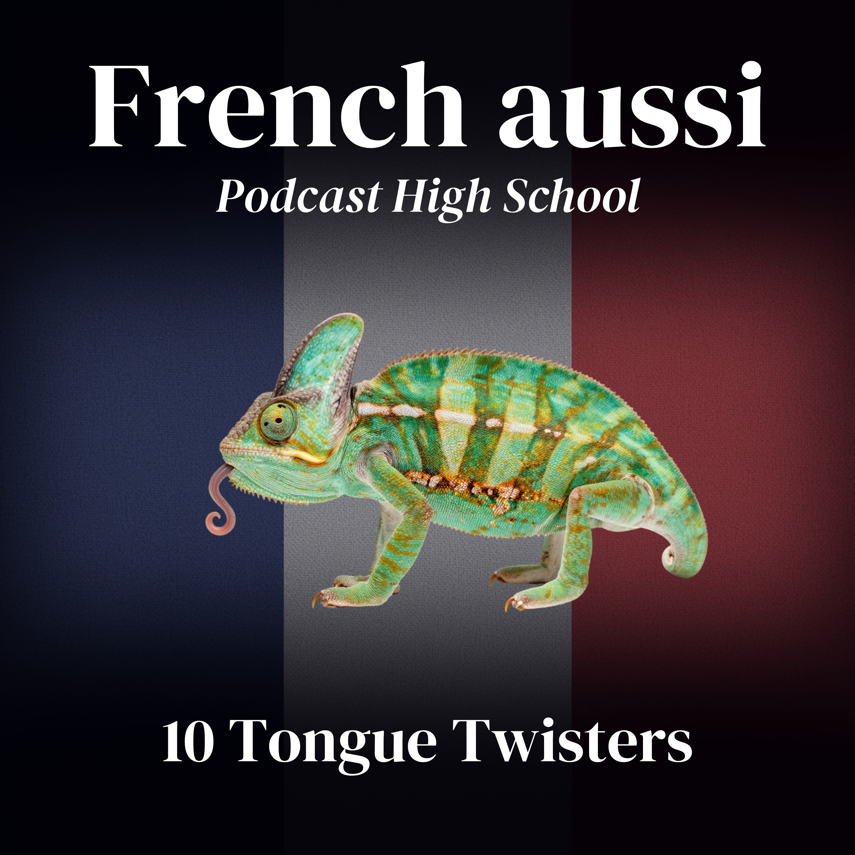 10 Tongue Twisters in French - Episode 13