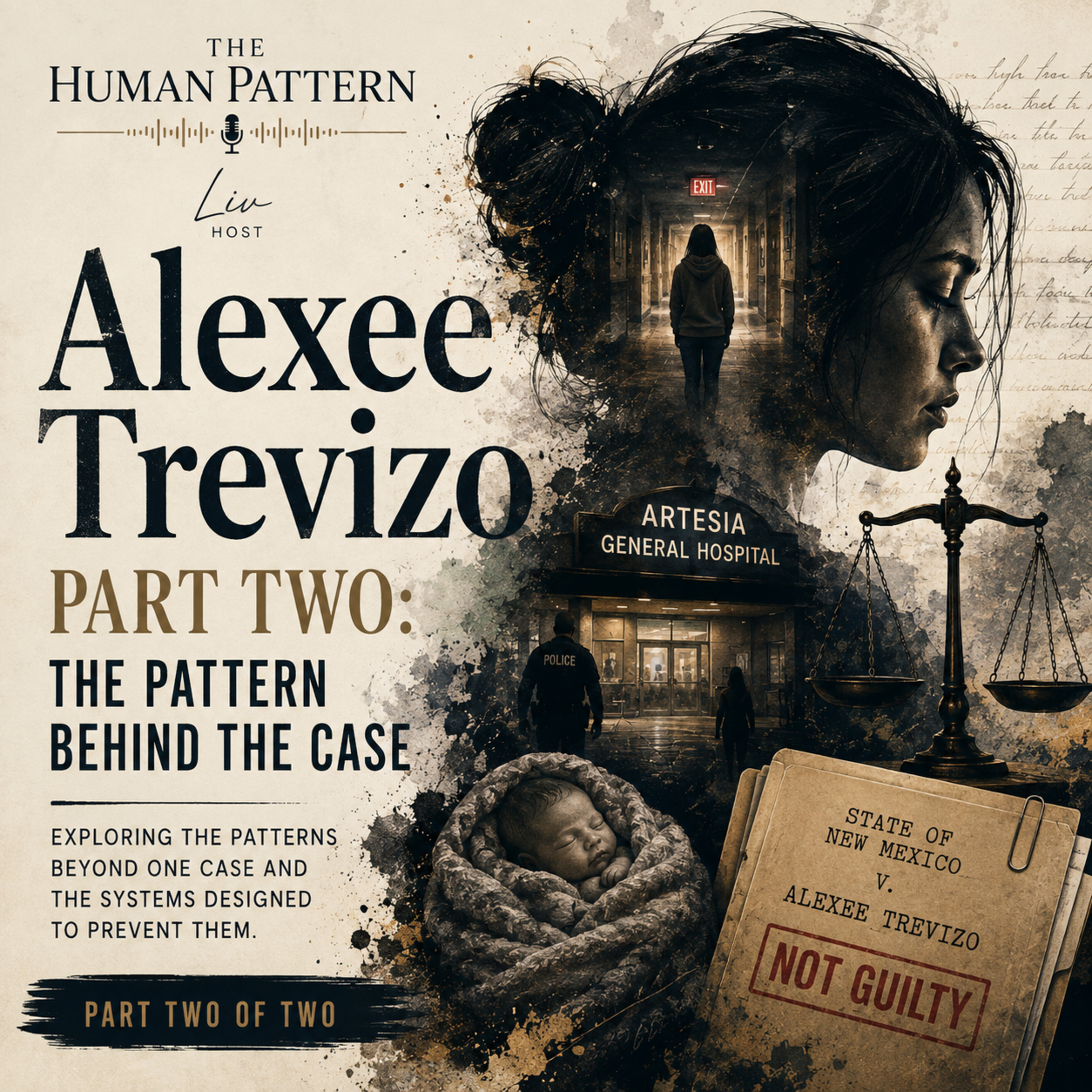 Alexee Trevizo Part Two: The Pattern Behind the Case