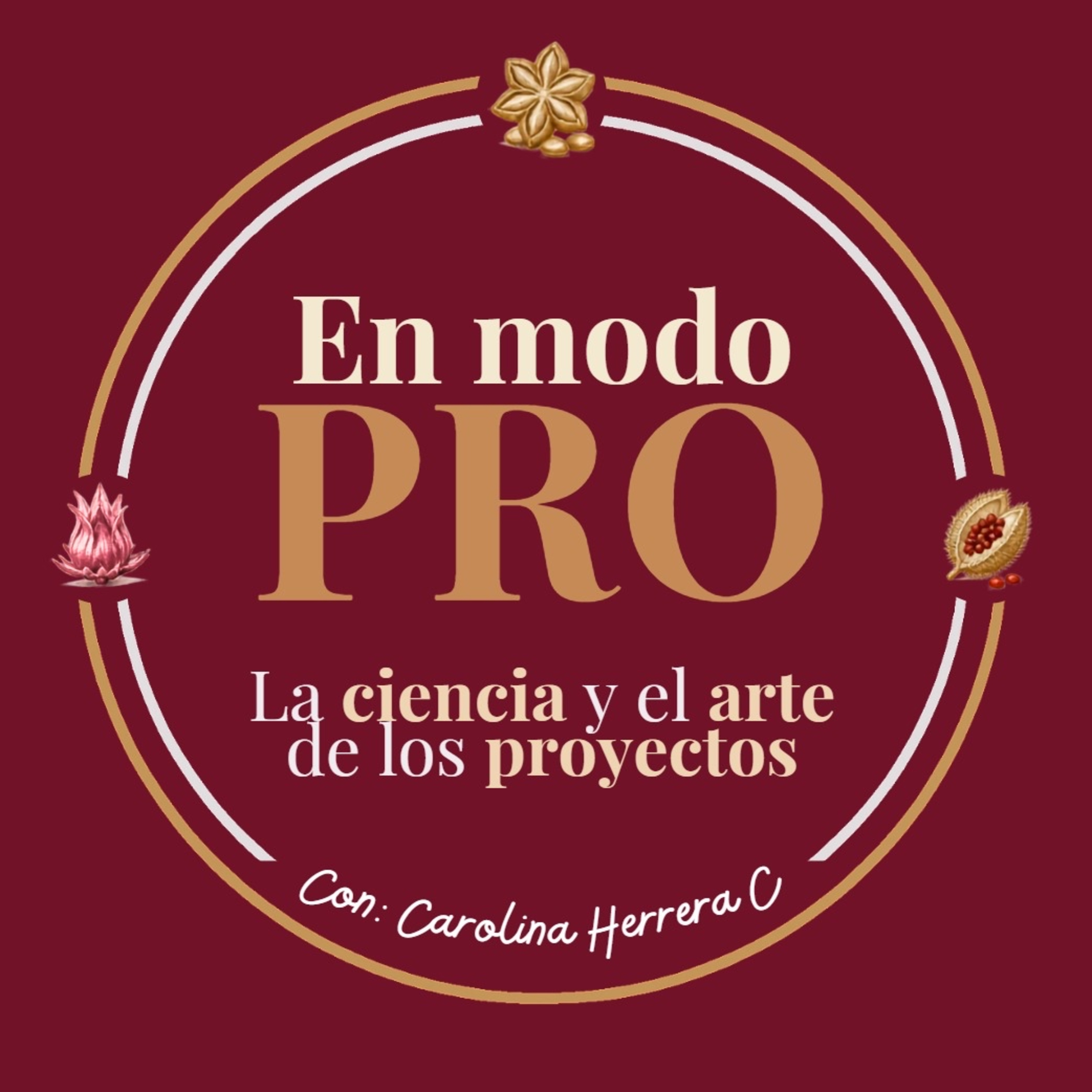Portada de En modo PRO: la ciencia y el arte de los proyectos