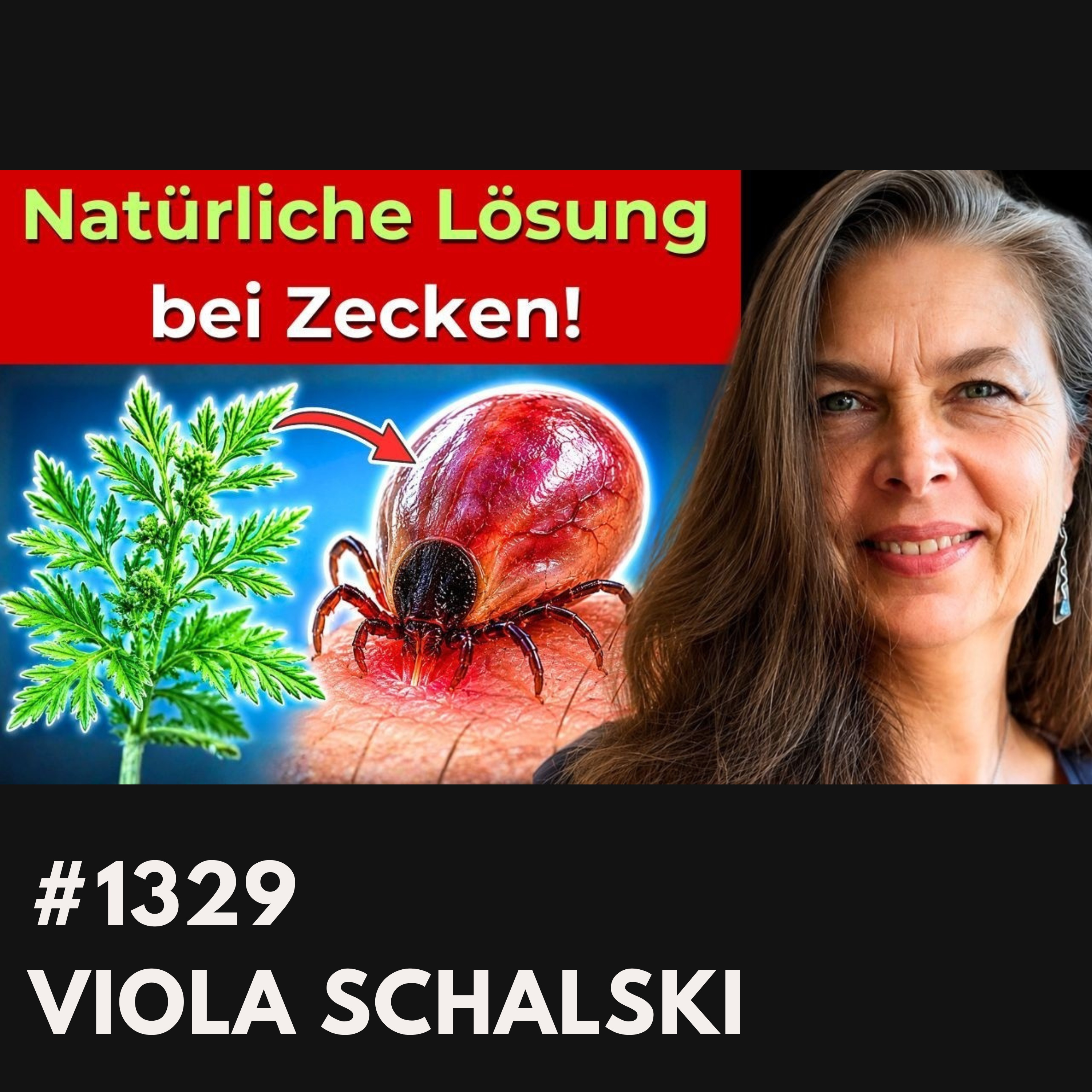 Stopp ANTIBIOTIKA! Natürliches Mittel gegen Zecken? | Viola Schalski #1329 episode artwork