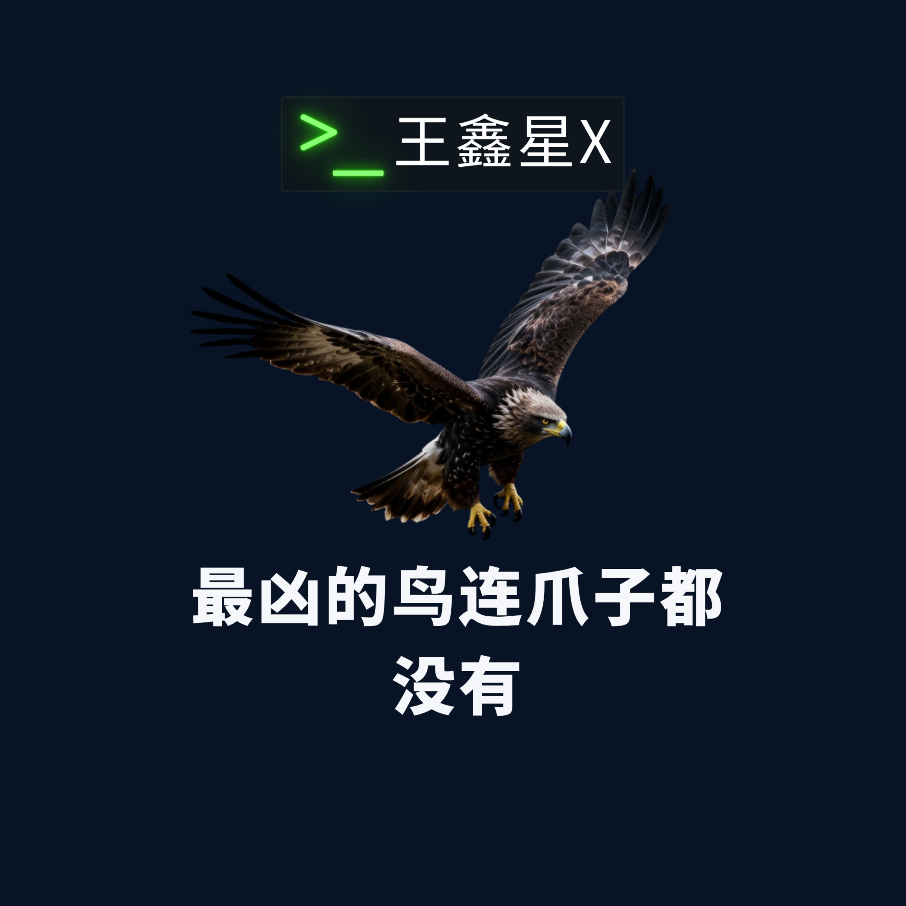 最凶的鸟连爪子都没有 episode artwork