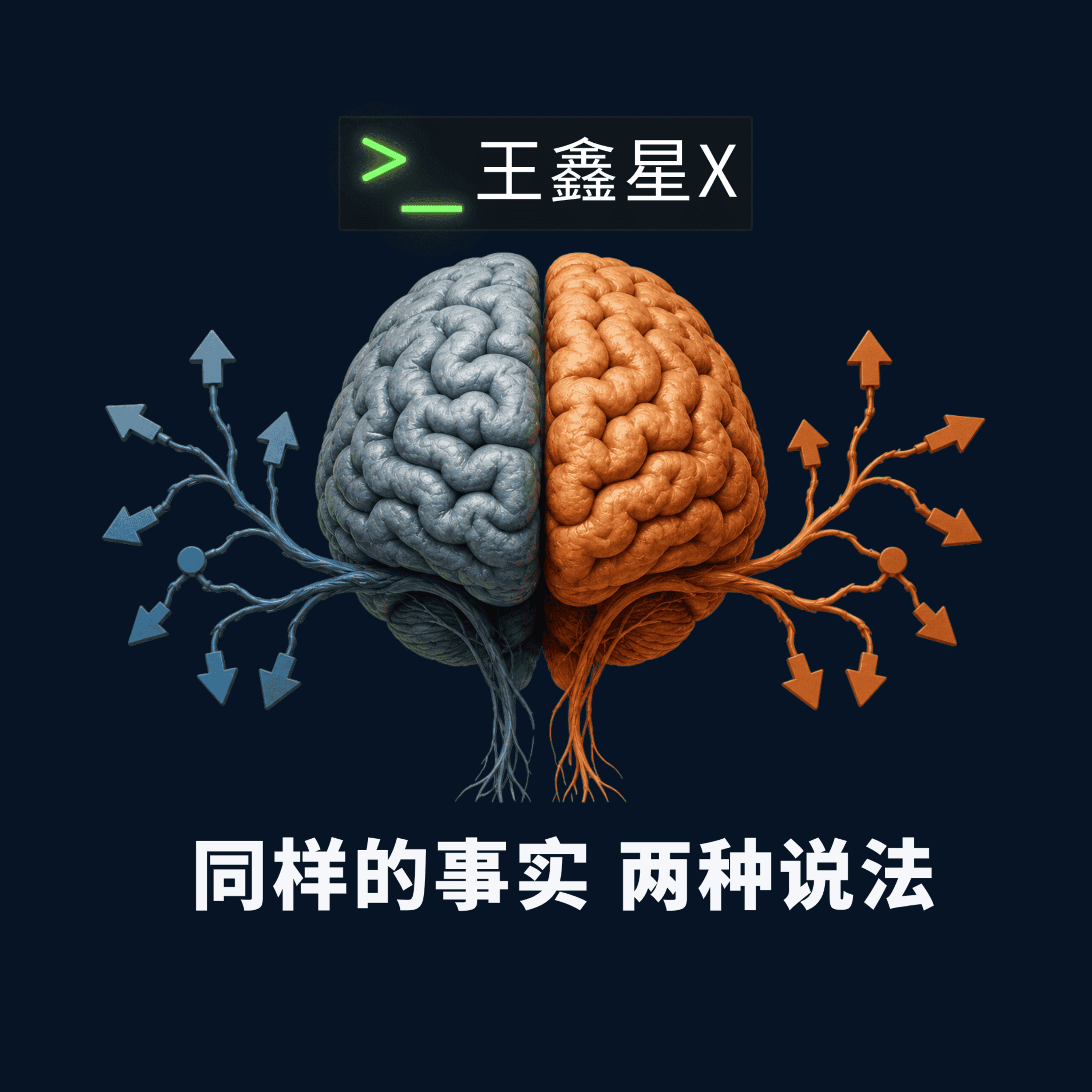 同样的事实 两种说法 episode artwork