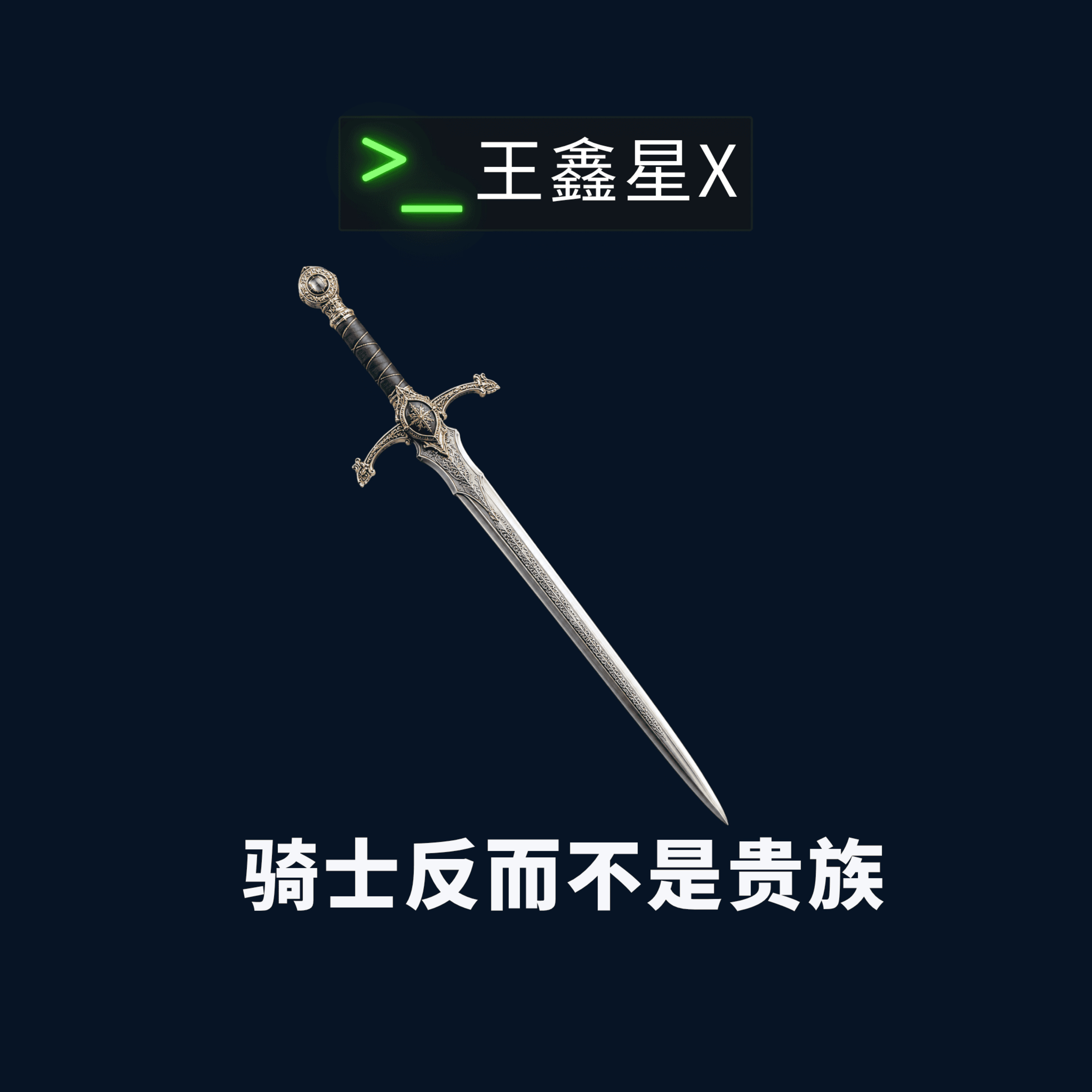 骑士反而不是贵族 episode artwork