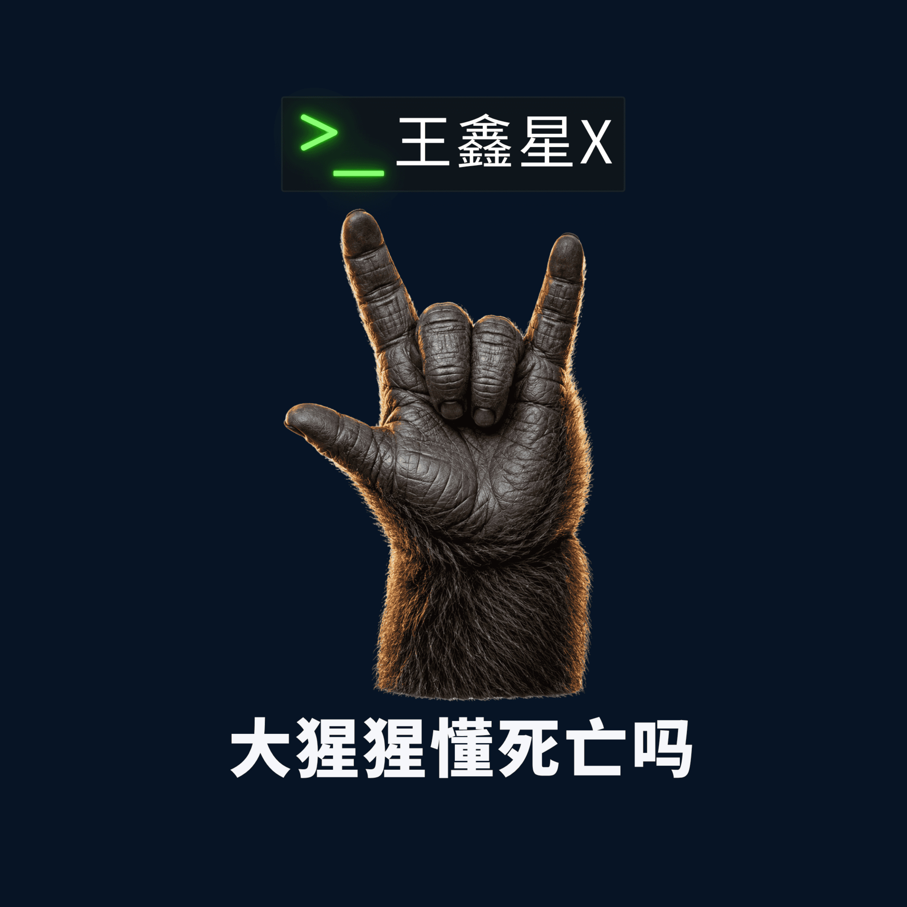 大猩猩懂死亡吗 episode artwork