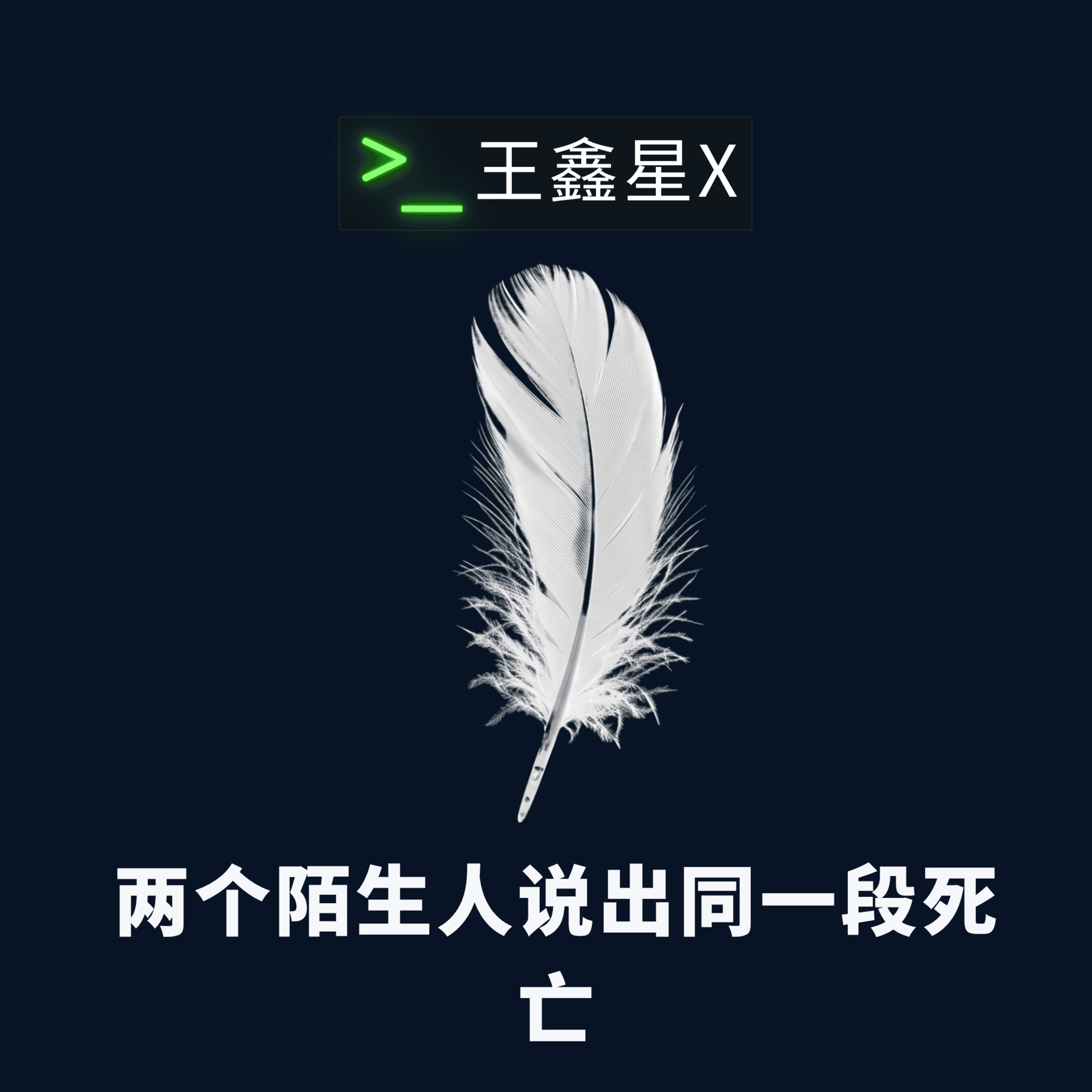 两个陌生人说出同一段死亡 episode artwork