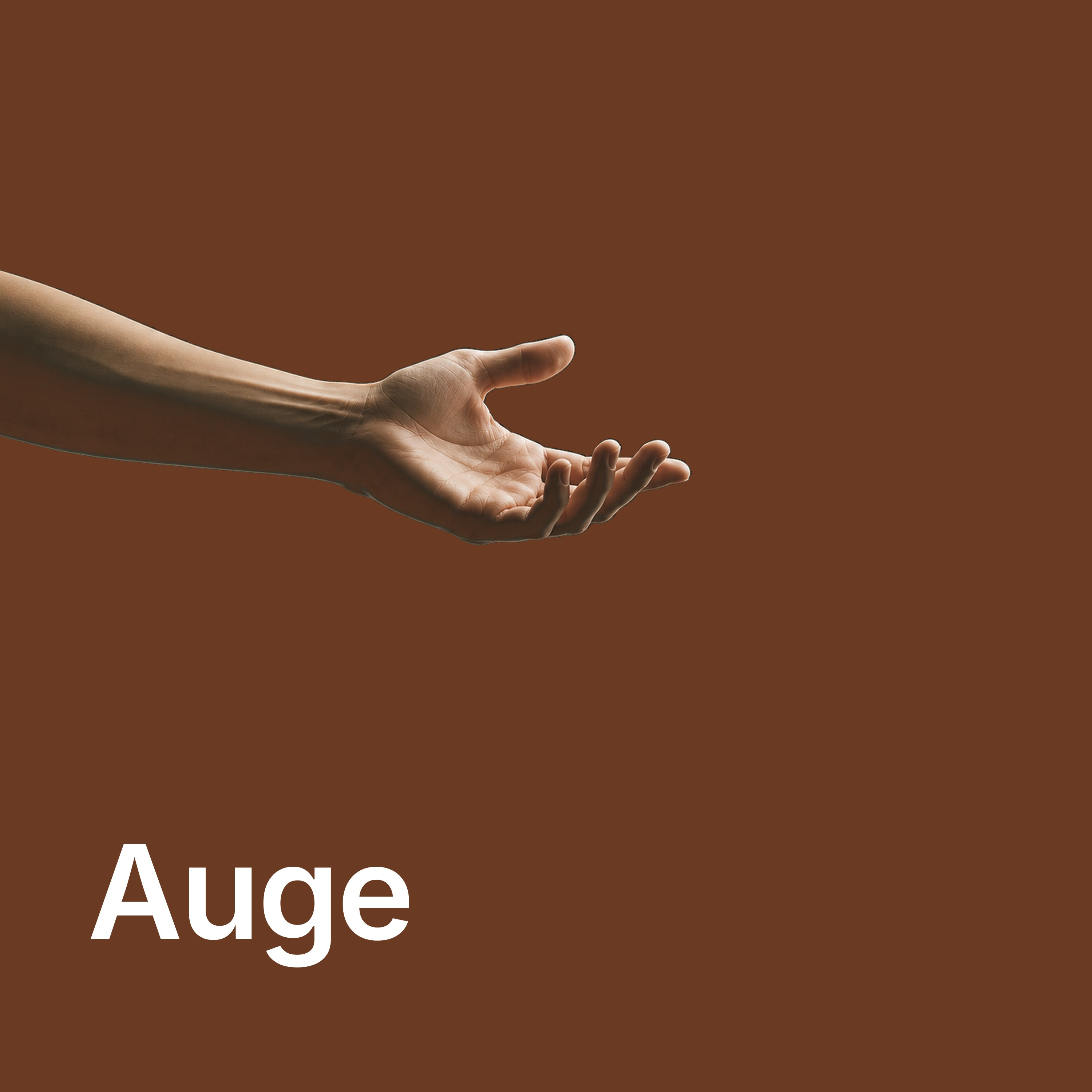 Wie funktioniert eigentlich das Auge? episode artwork