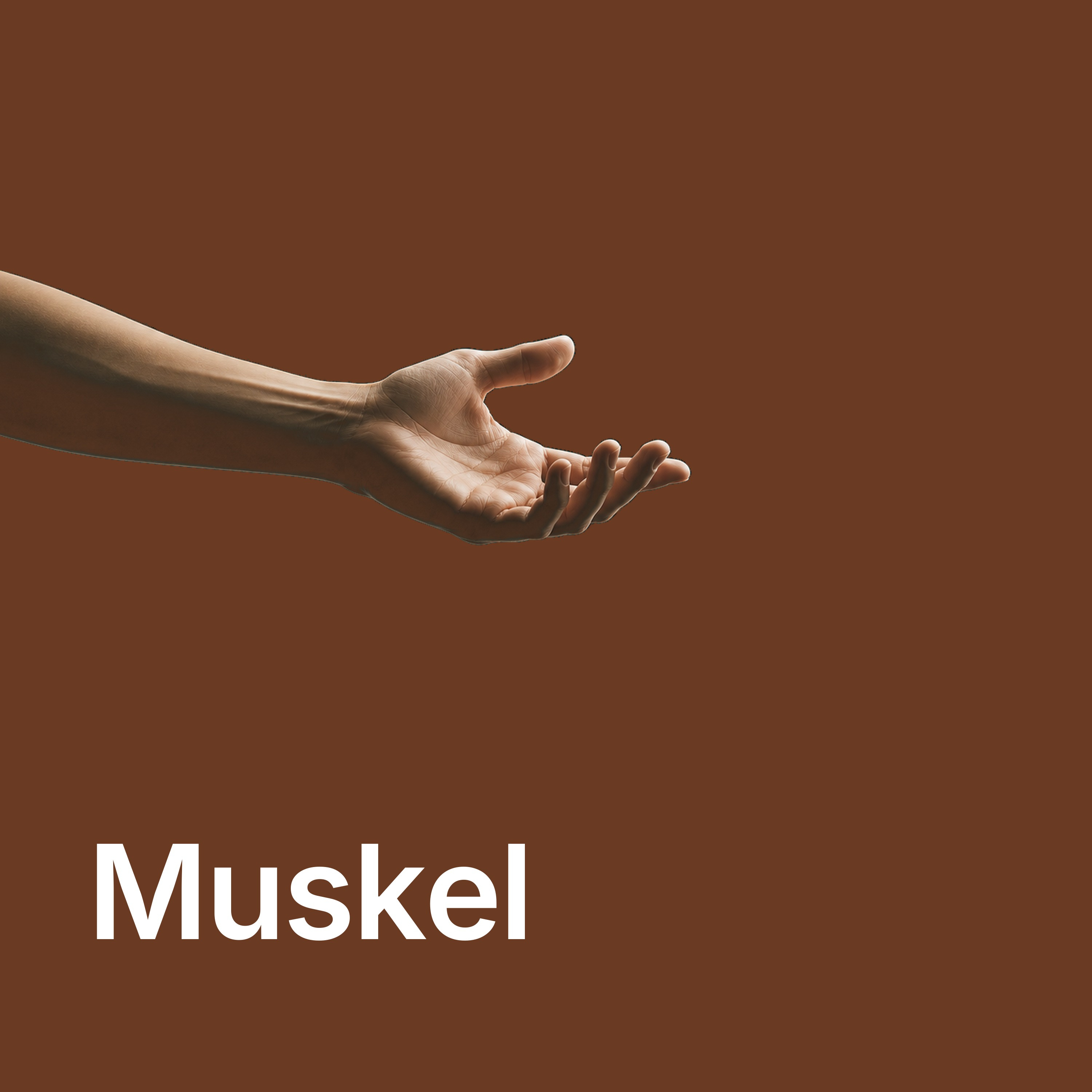 Wie funktioniert eigentlich der Muskel? episode artwork
