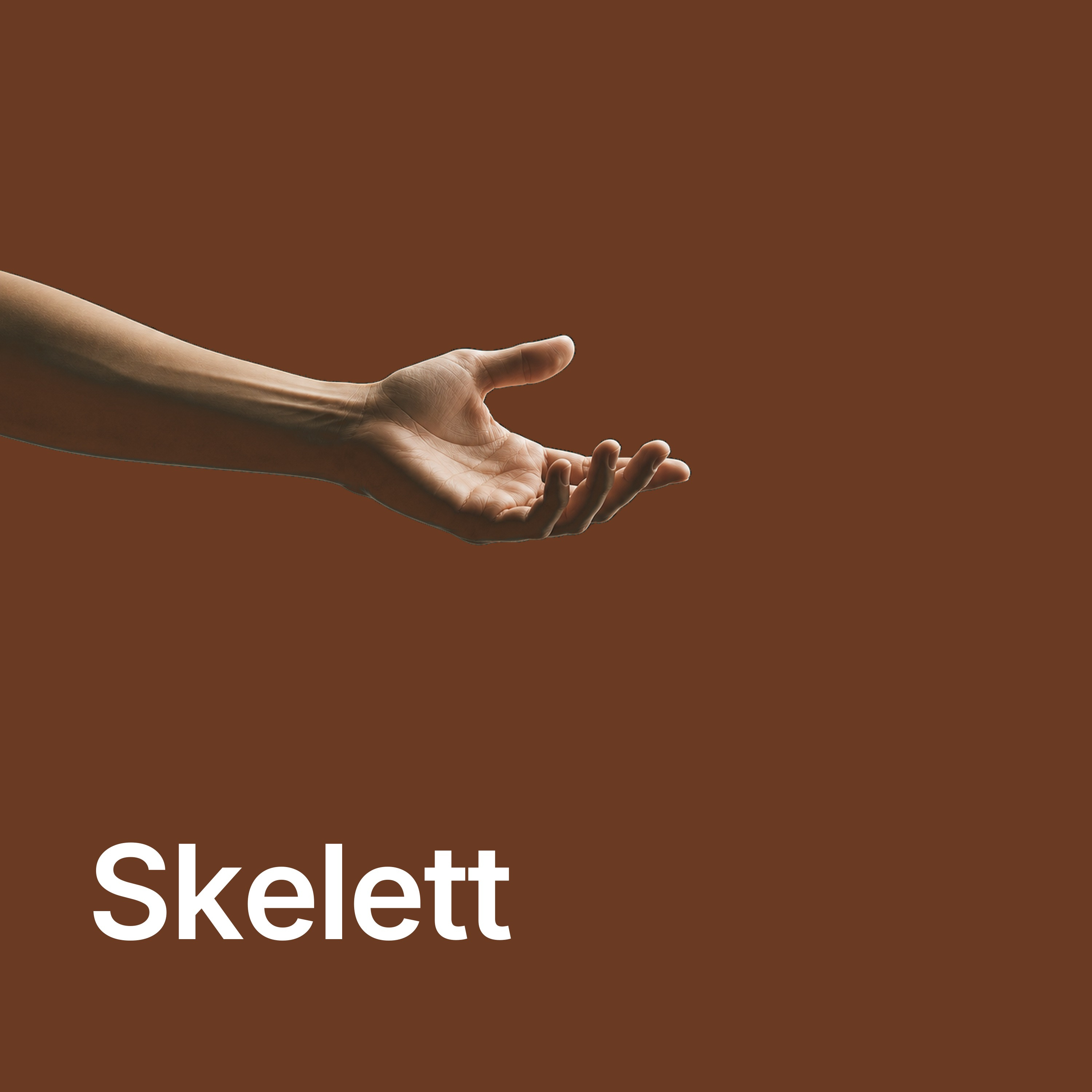 Wie funktioniert eigentlich das Skelett? episode artwork