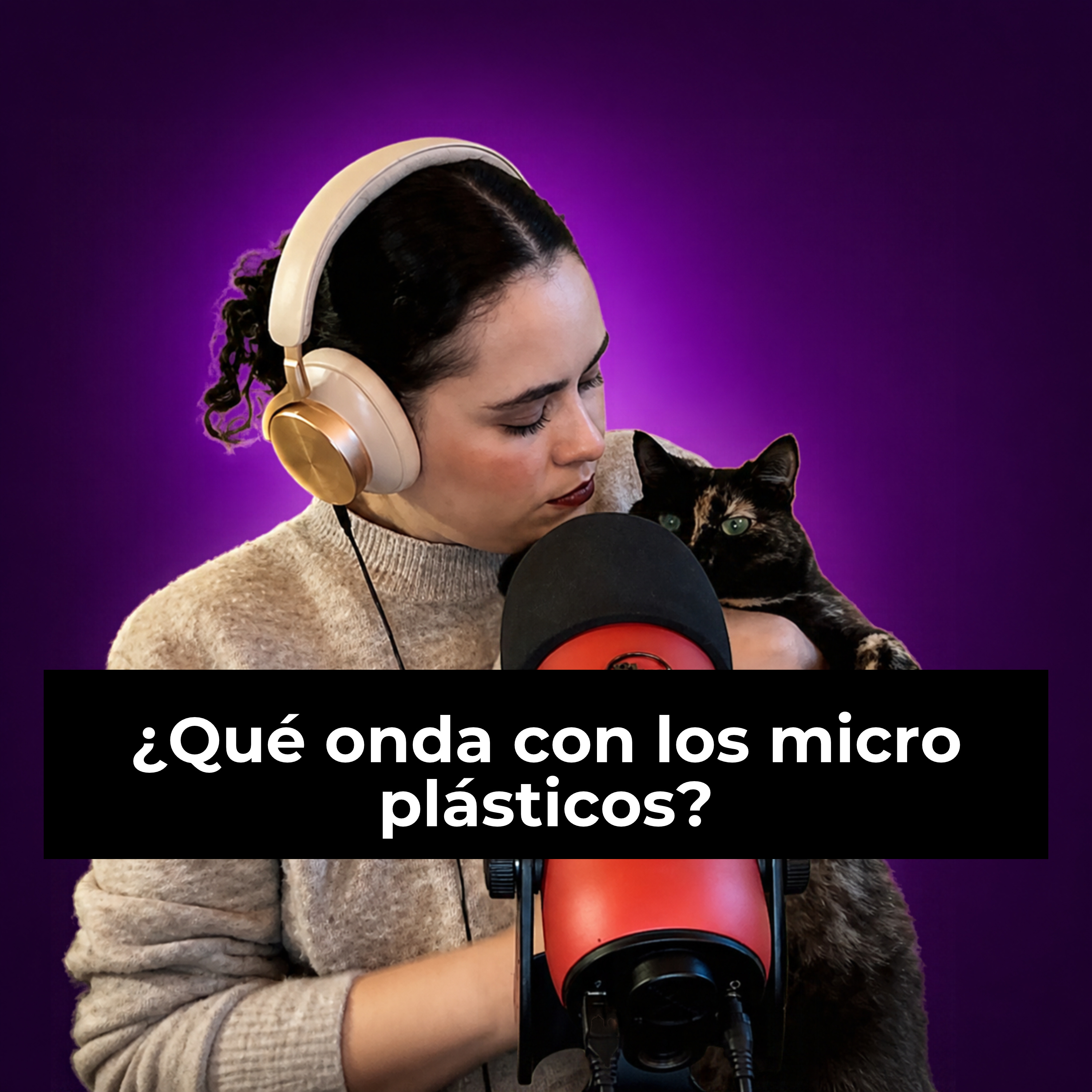 Portada de La Curiosidad Educó al Gato