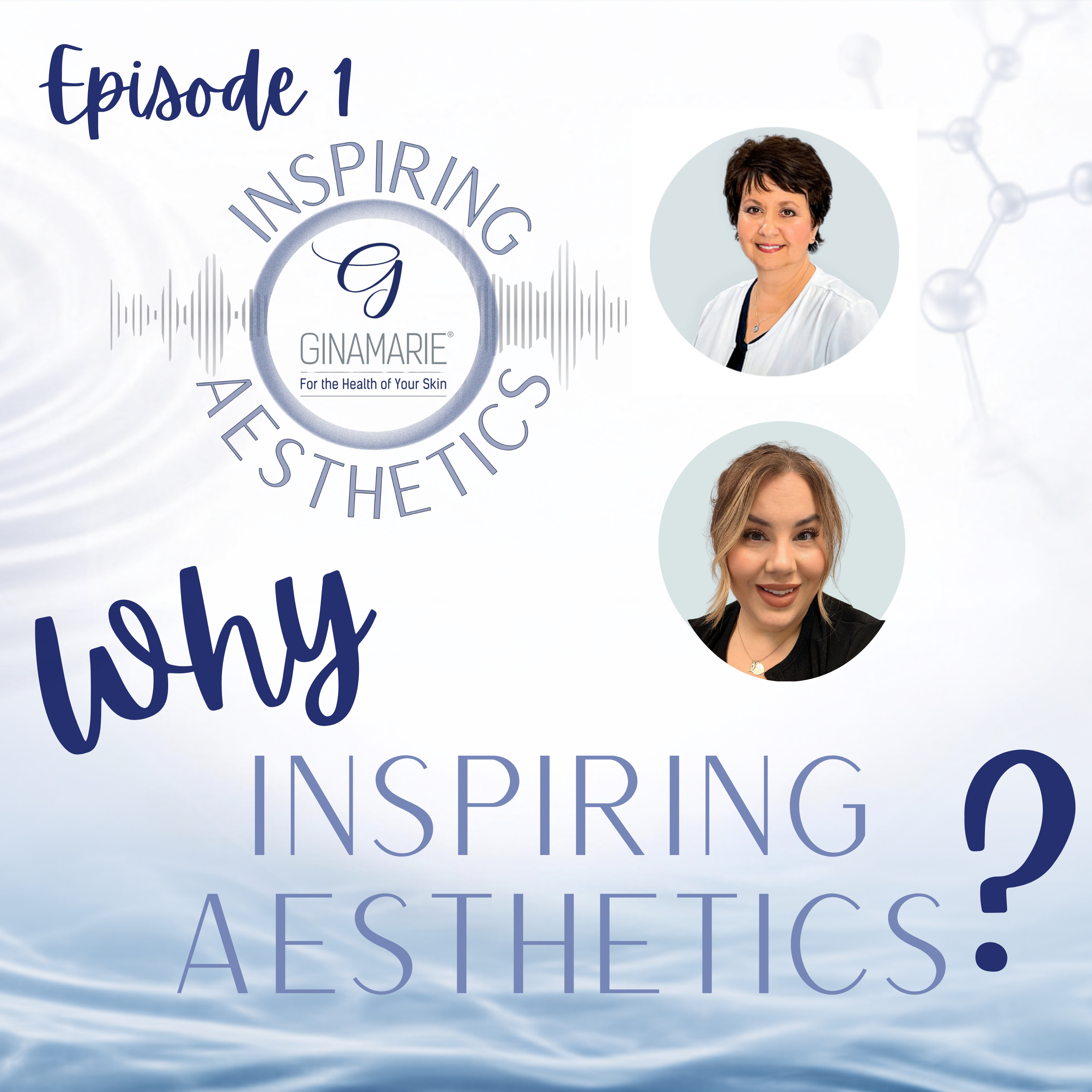 Ep 1: Why Inspiring Aesthetics? episode artwork