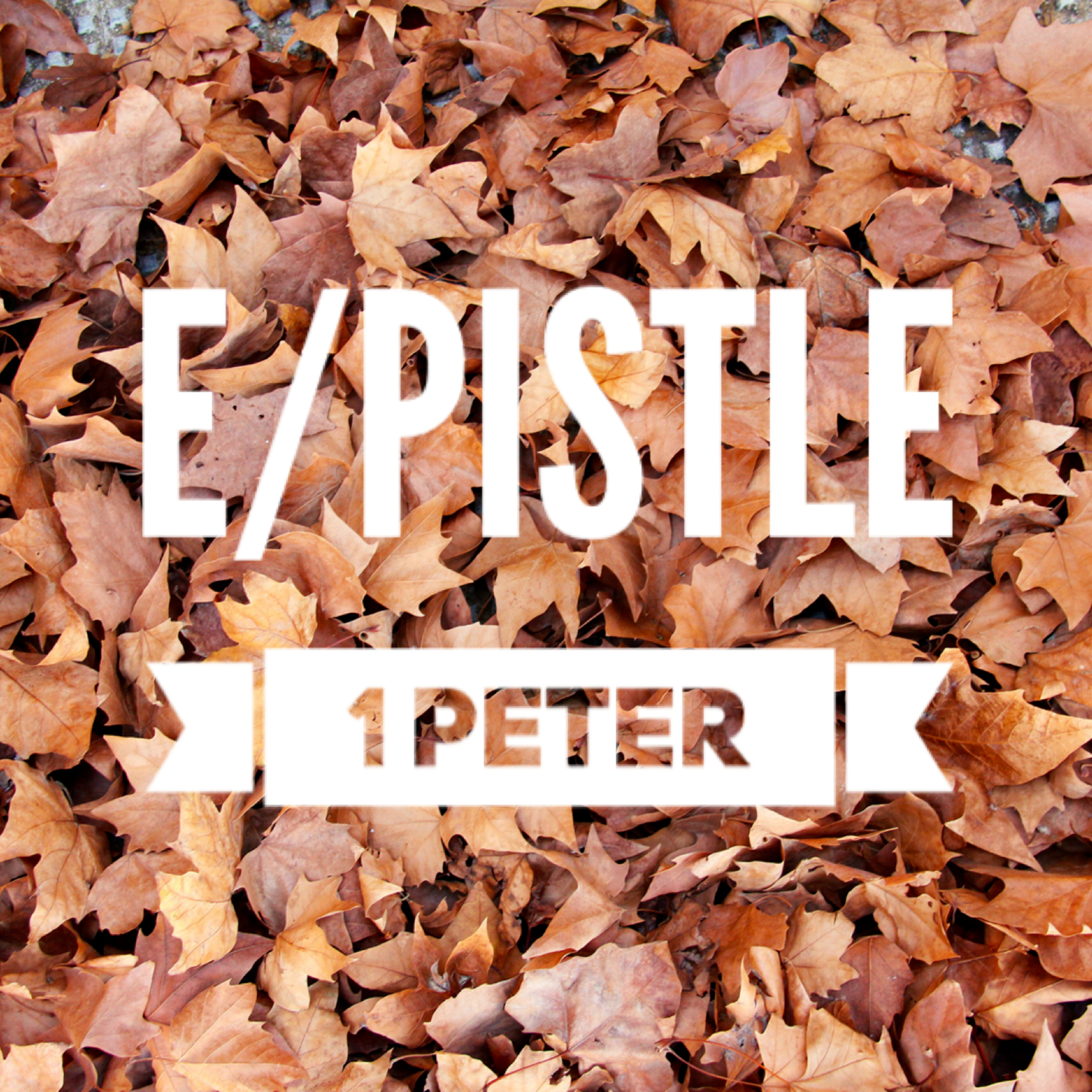 1 Peter 1:21-2:3 - Eternal, Not Temporary episode artwork