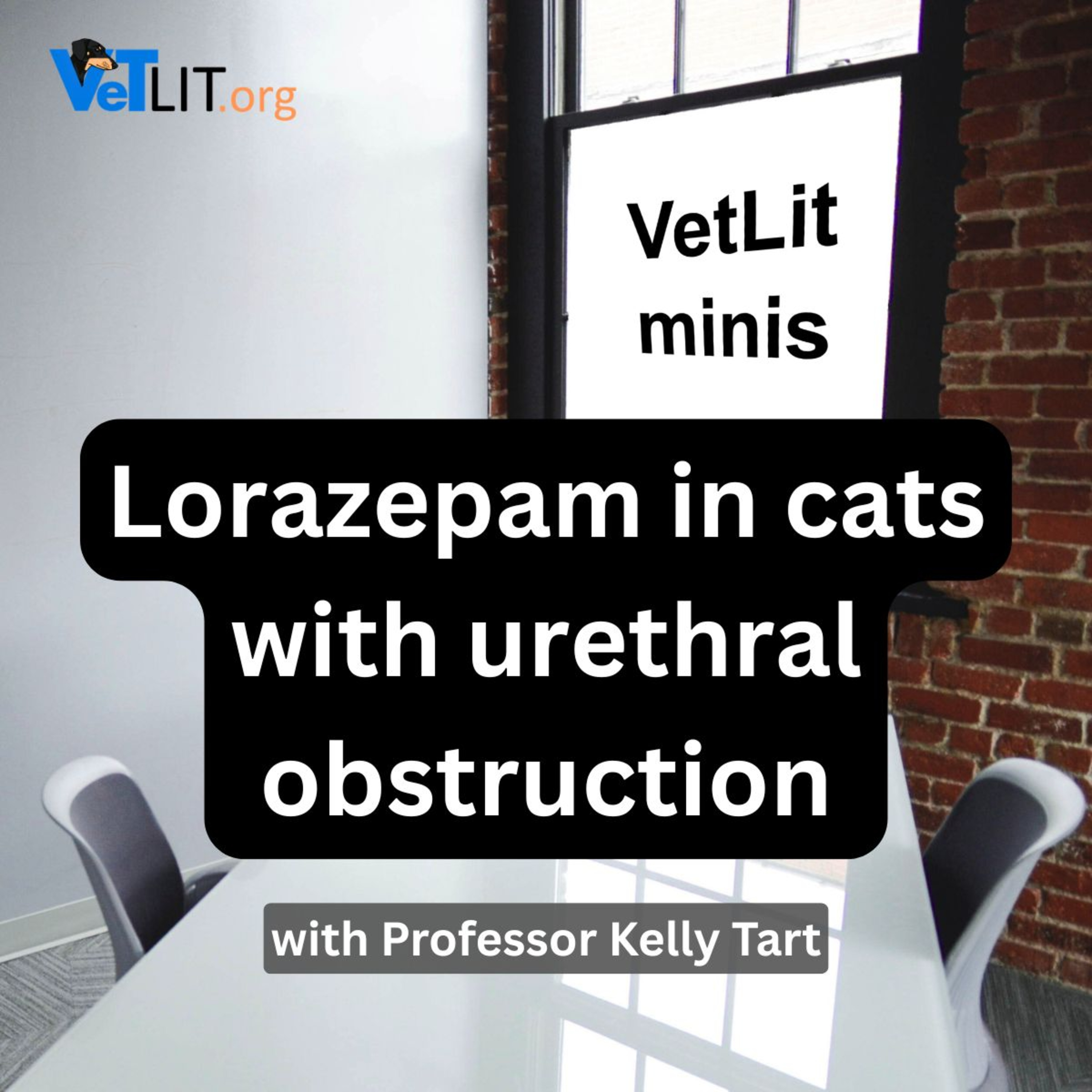 Lorazepam in cats with urethral obstruction with Professor Kelly Tart