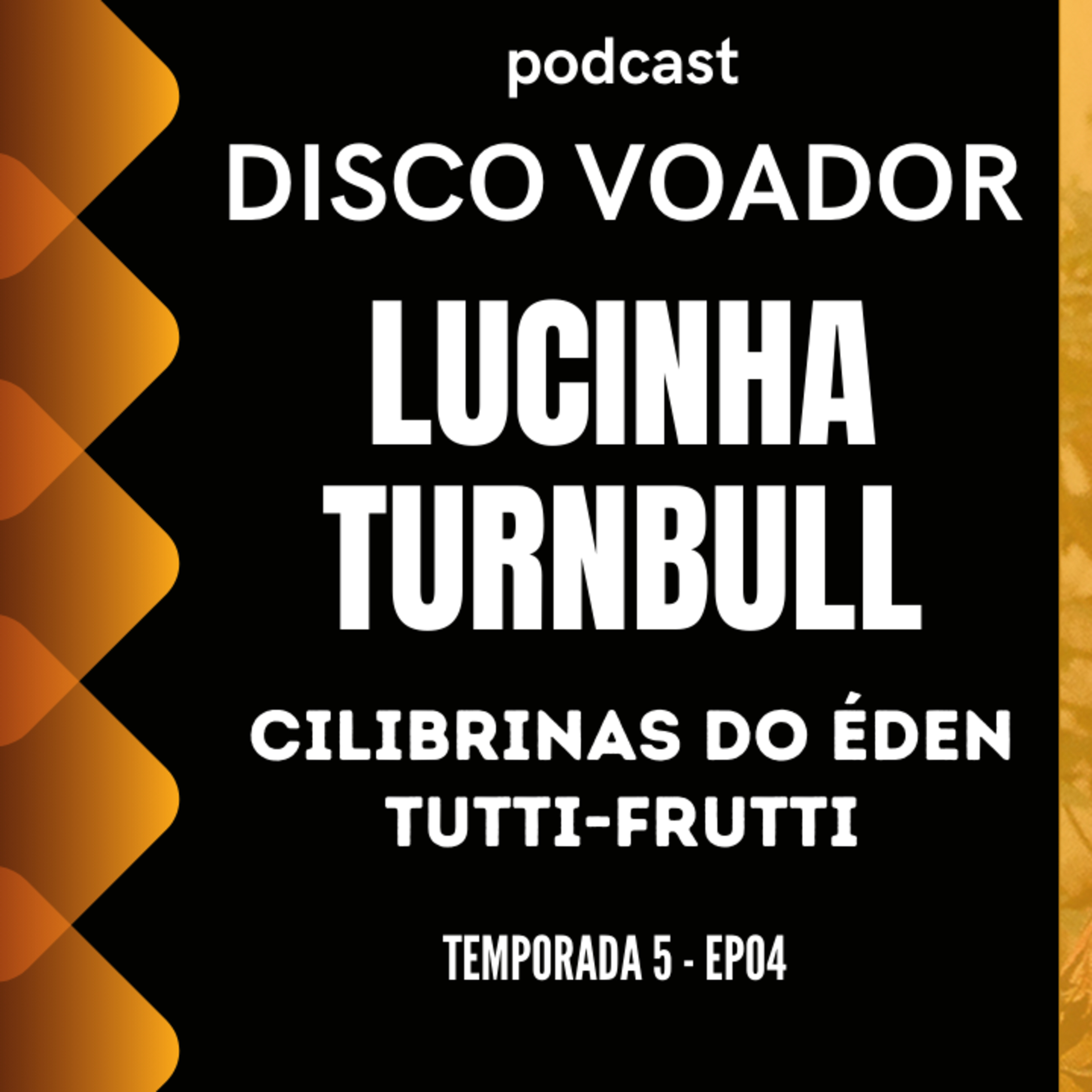 Entrevista com Lucinha Turnbull | Disco Voador | Temporada 5 | EP04 episode artwork