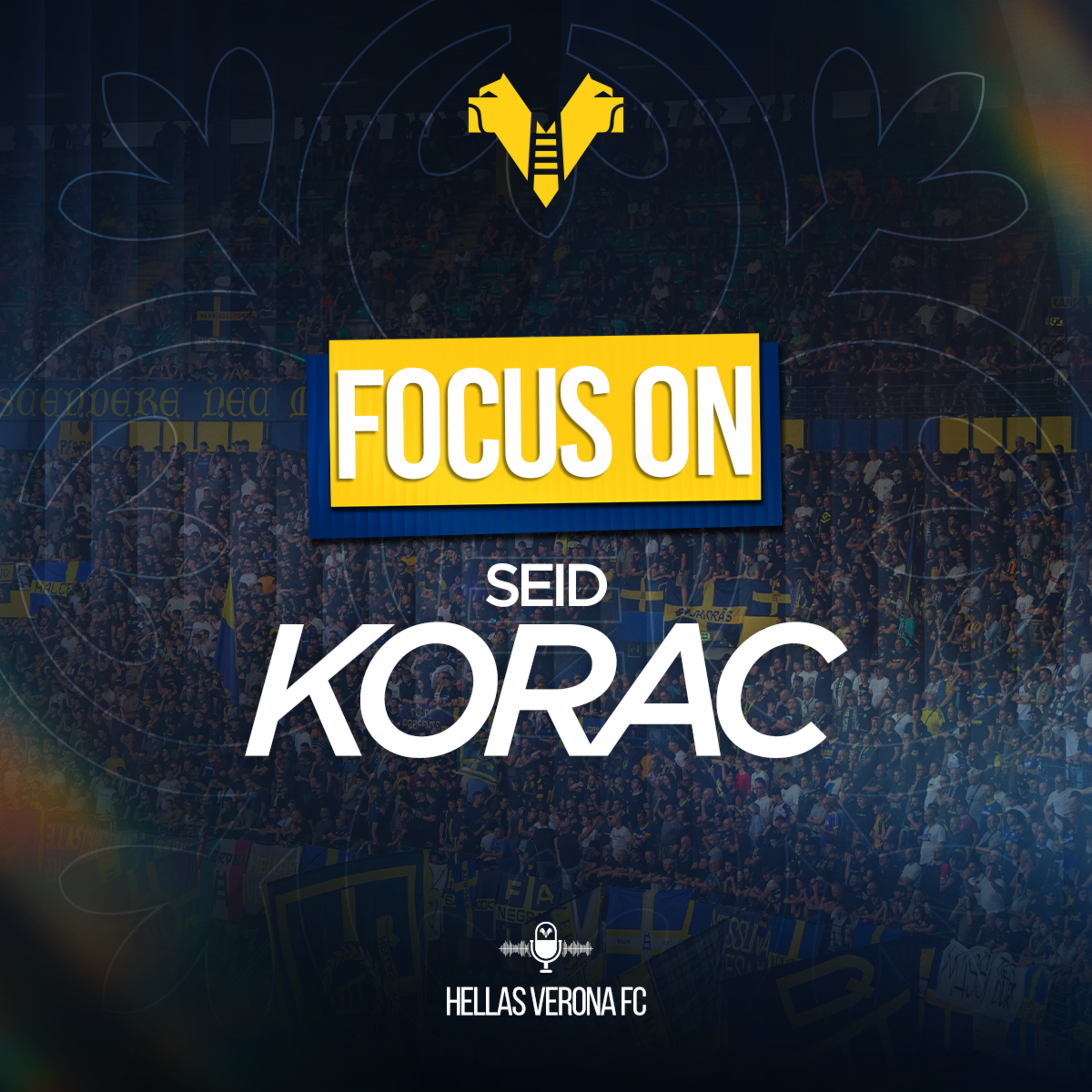 Focus On | Seid Korac episode artwork