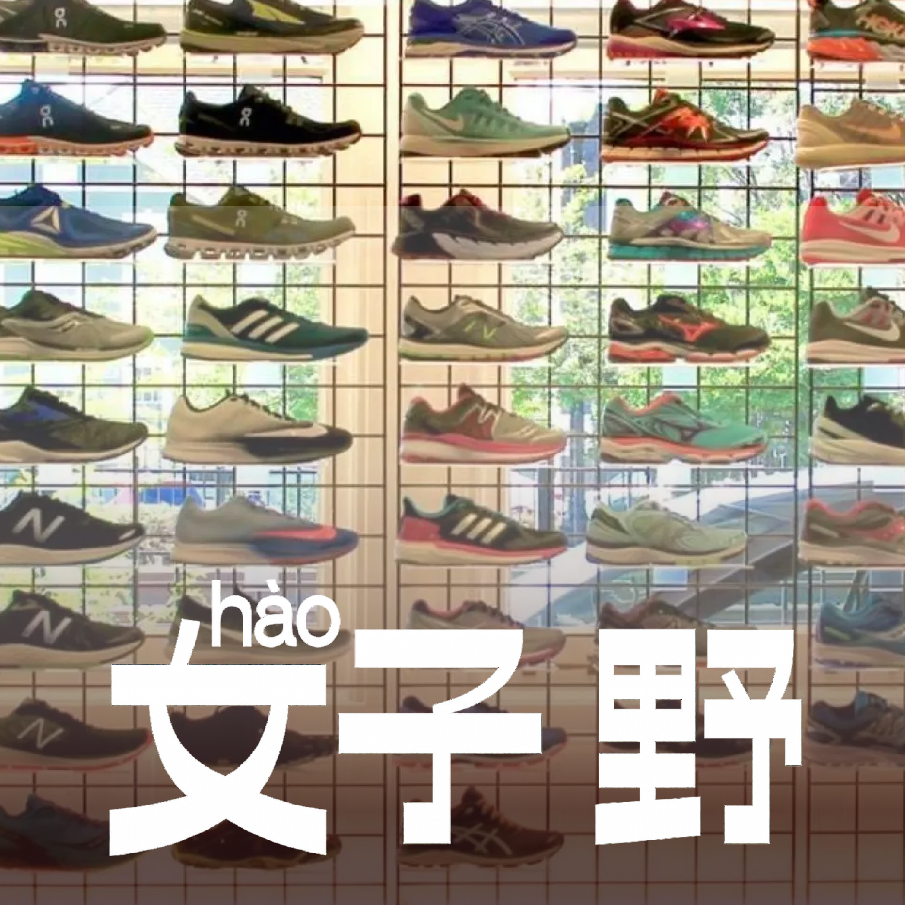Artwork for 好野