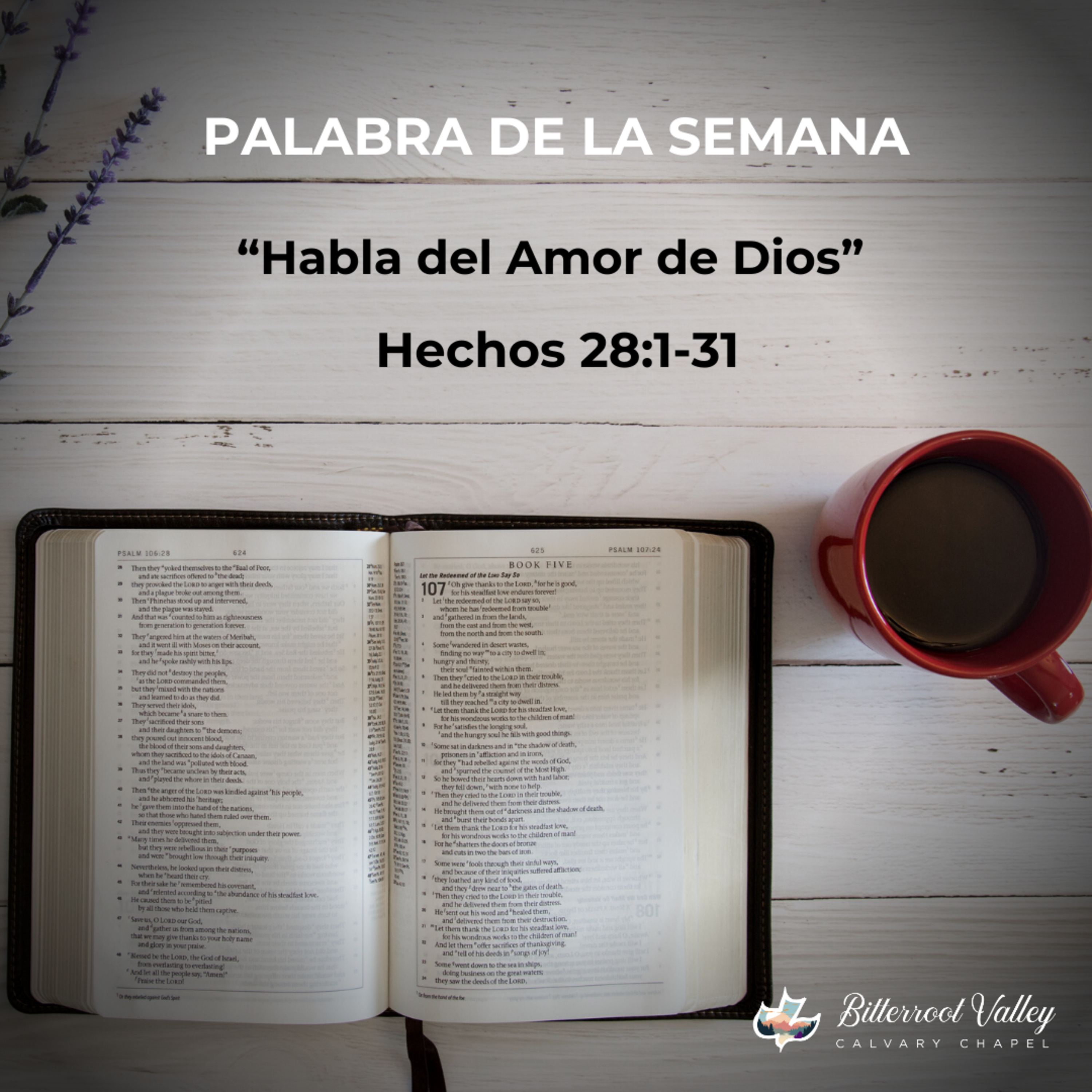 Palabra de la Semana “Habla del Amor de Dios” Hechos 28:1-31 episode artwork