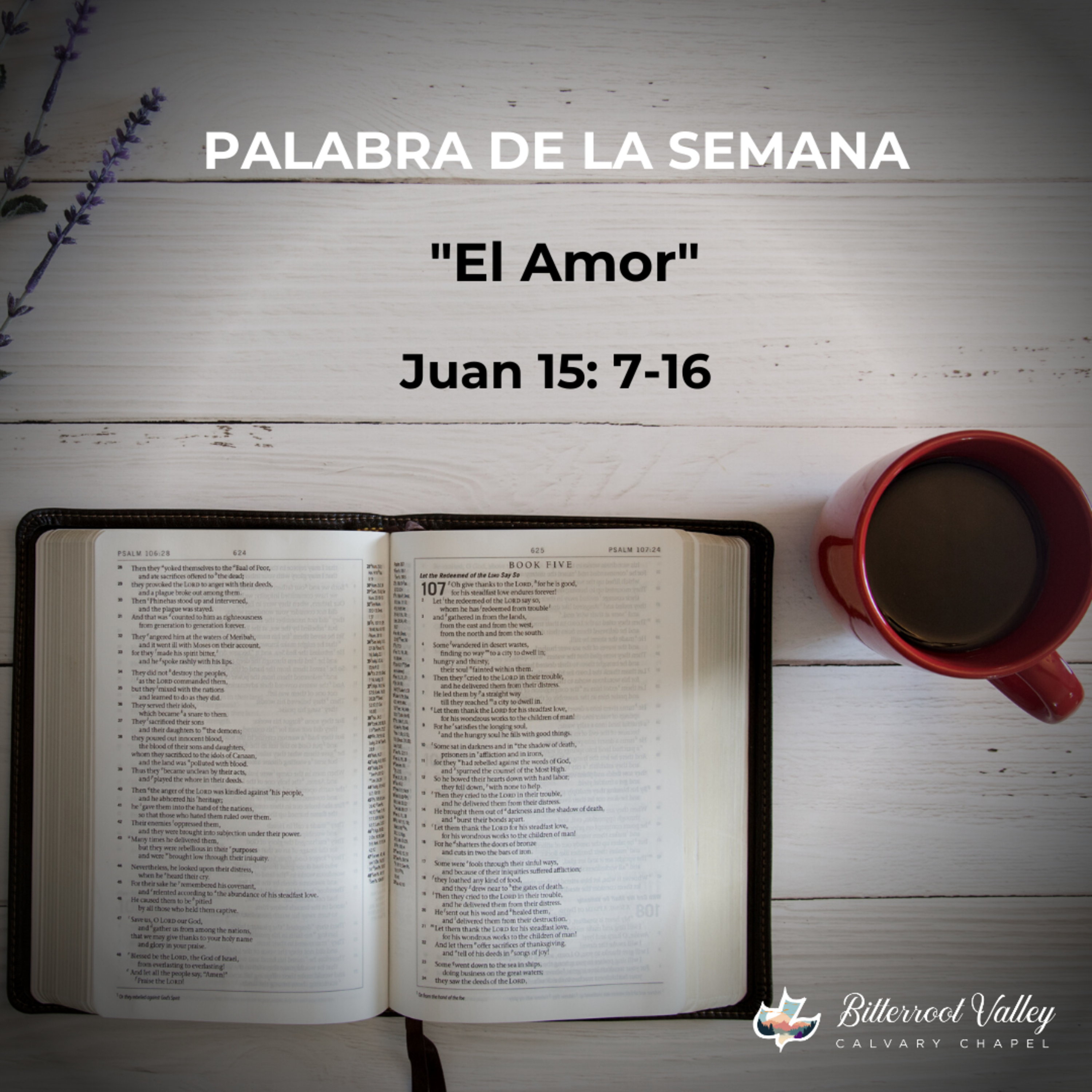 Palabra de la semana "El Amor" episode artwork