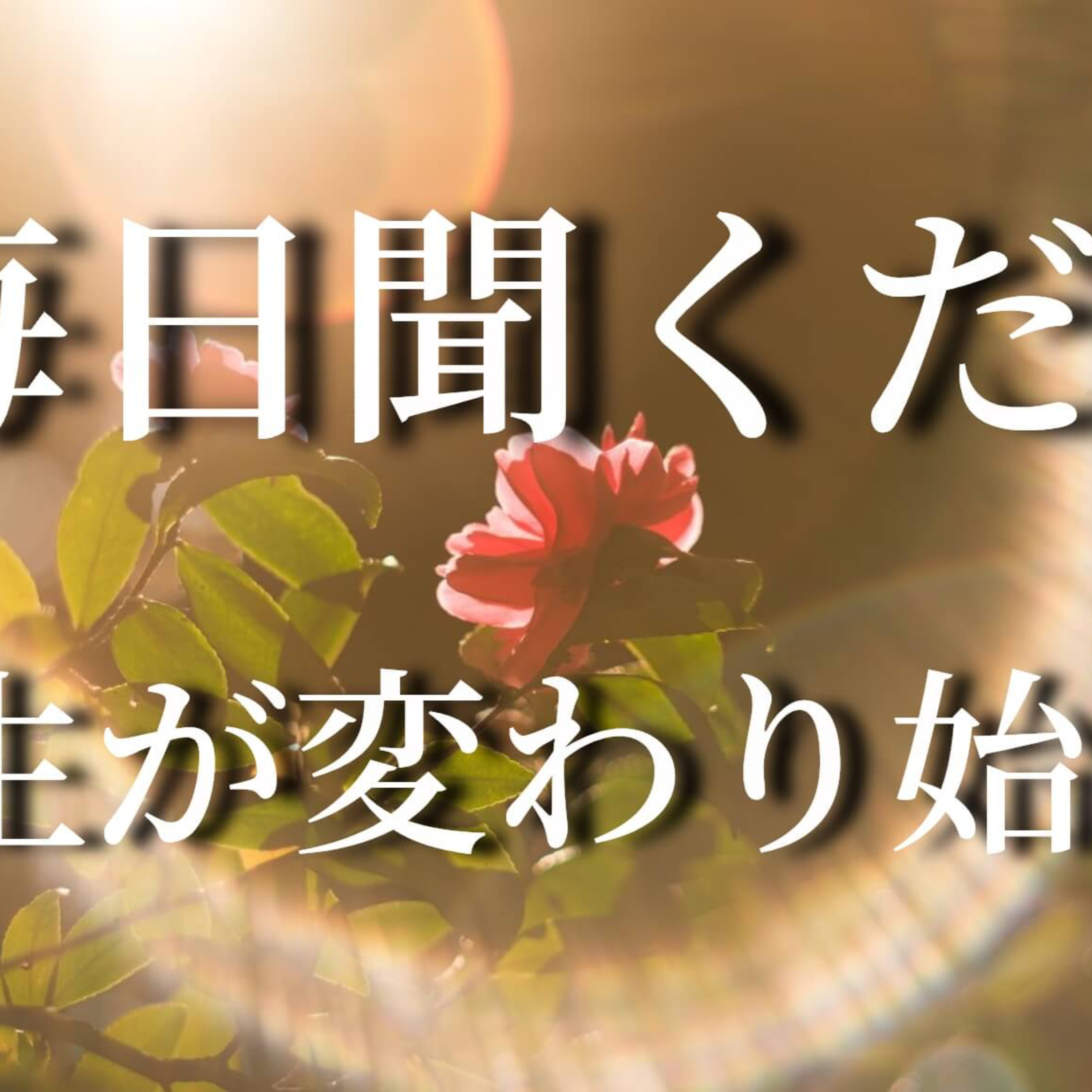 【8分聞くだけ】執着と不安を手放し幸せを引き寄せるアファメーション episode artwork
