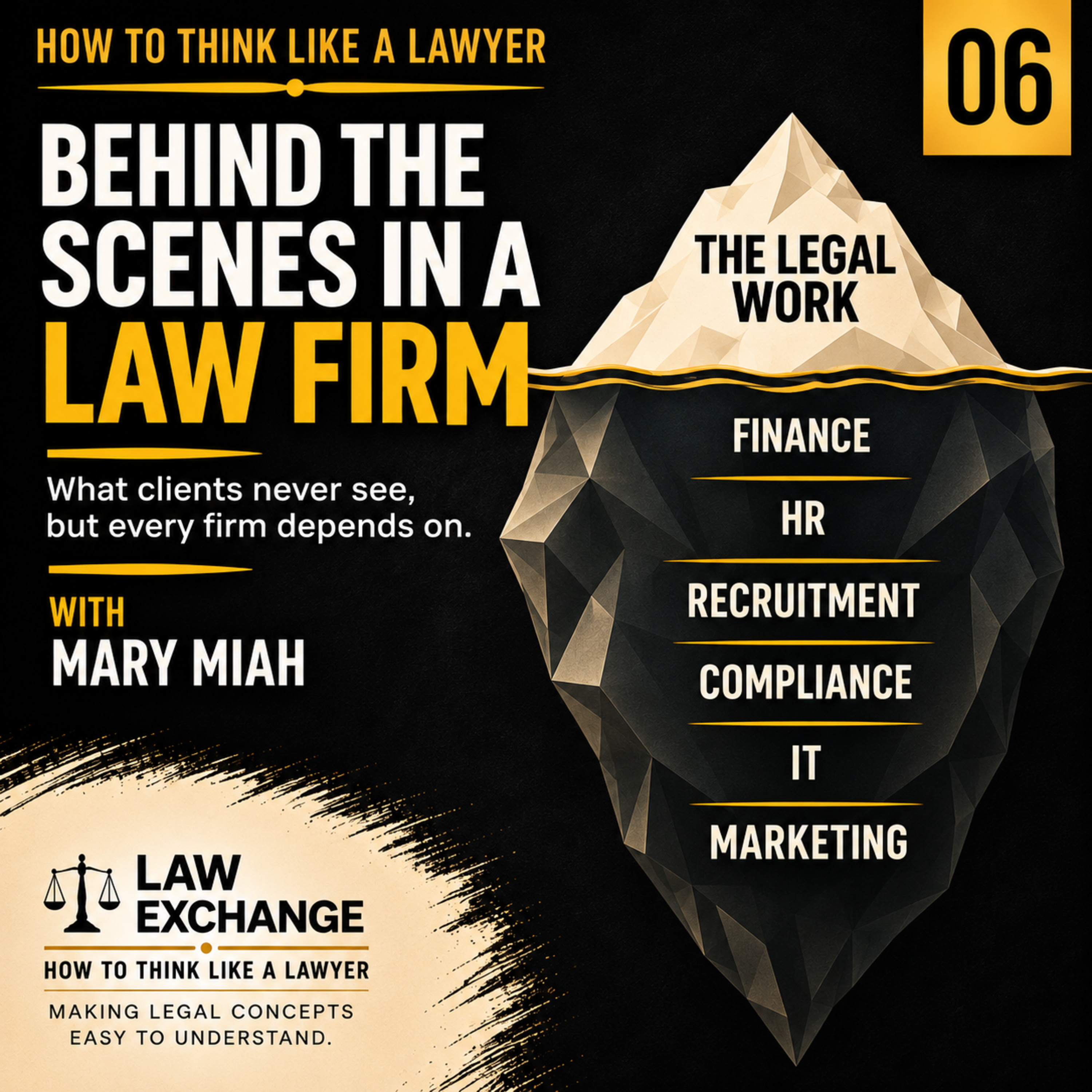 Behind the Scenes in a Law Firm with Mary Miah | How to Think Like a Lawyer