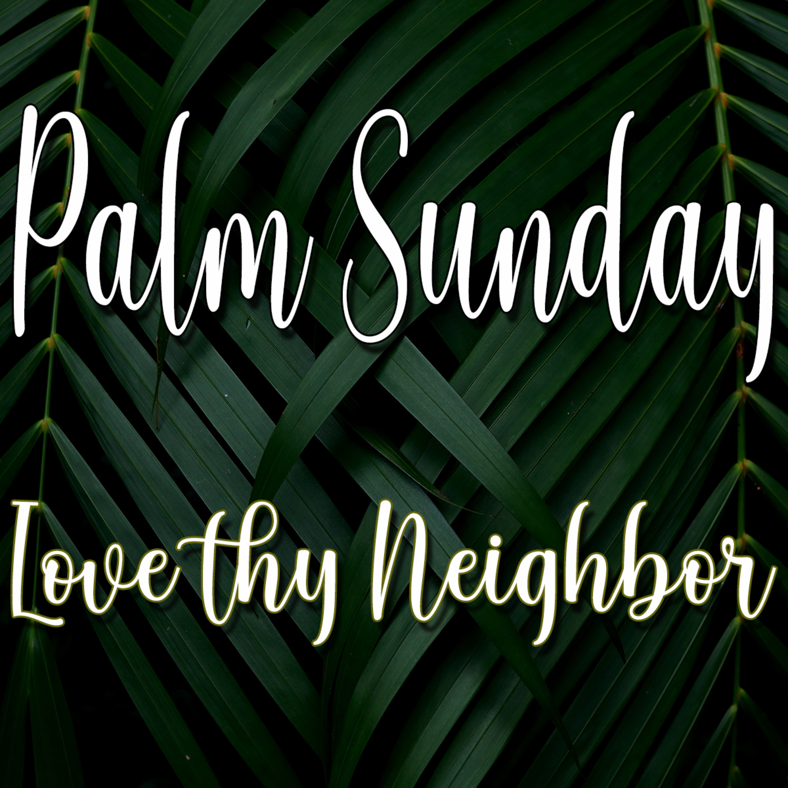 The BeAttitudes Part 5 Palm Sunday Love Thy Enemy with Dionne Salmonds episode artwork