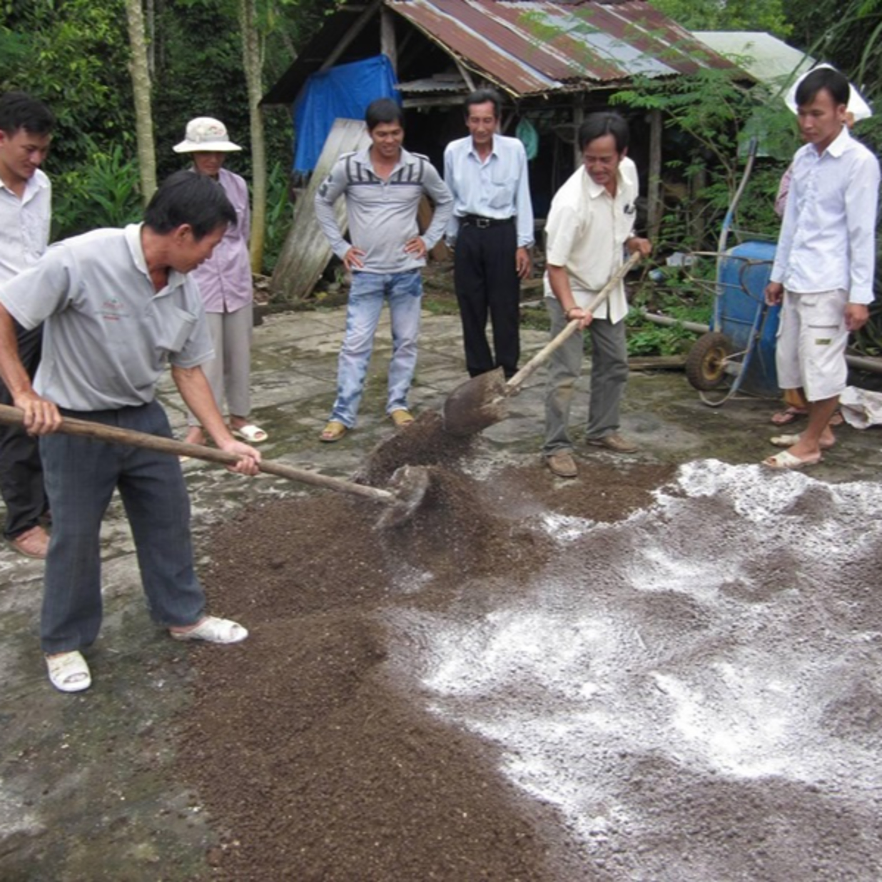 Cách Ủ Phân Dê Bón Cây episode artwork